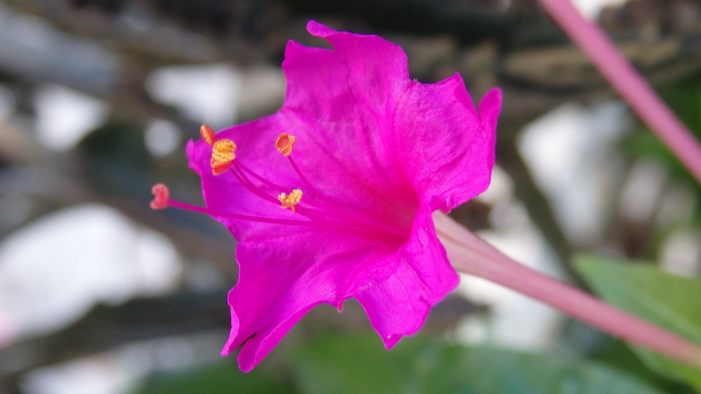 Beautiful at night 2