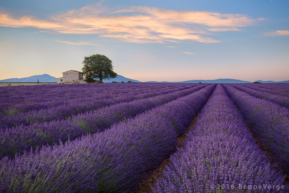 Plateau de Valensole