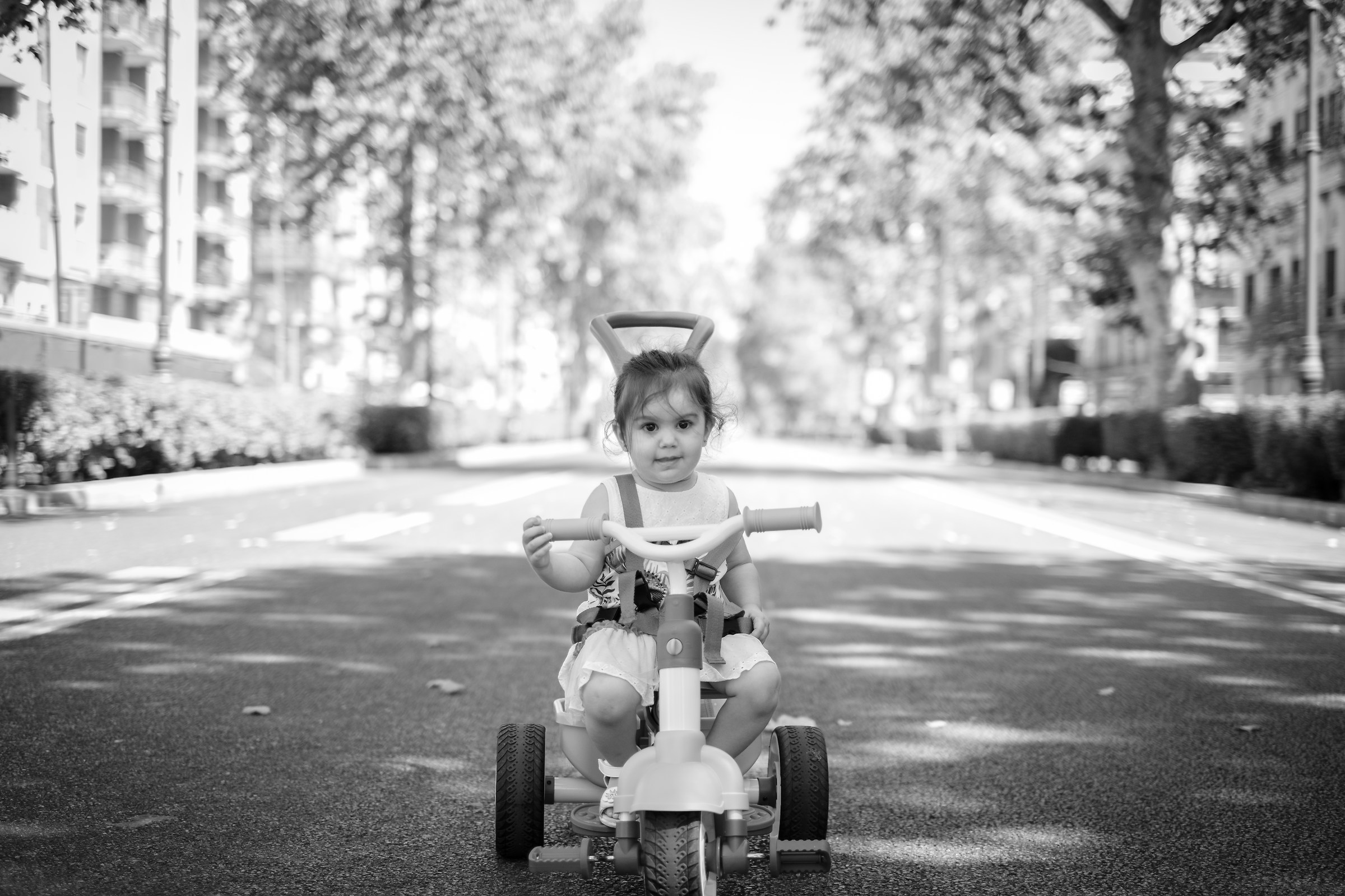 Liberty Street Palermo