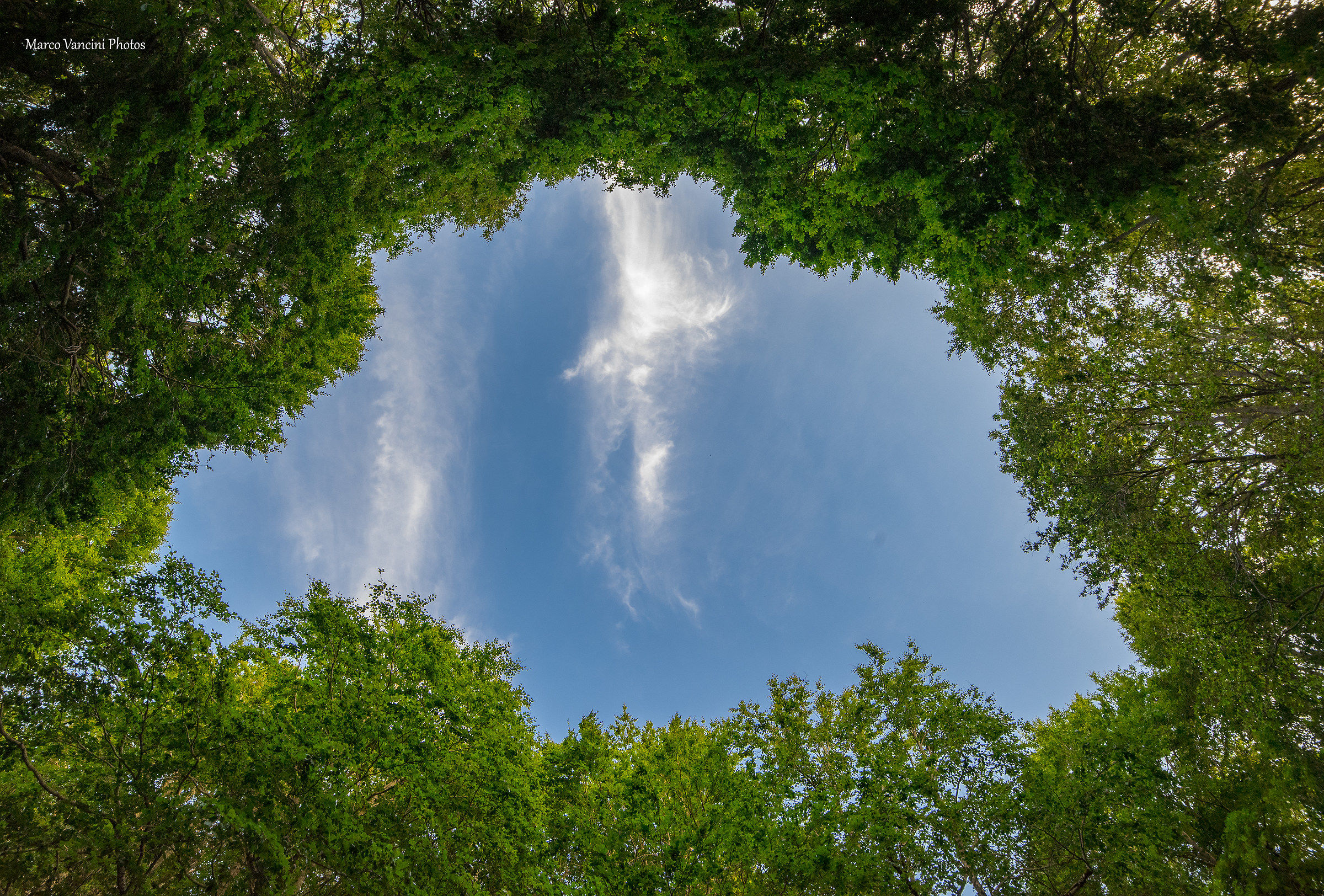 Una finestra sul cielo