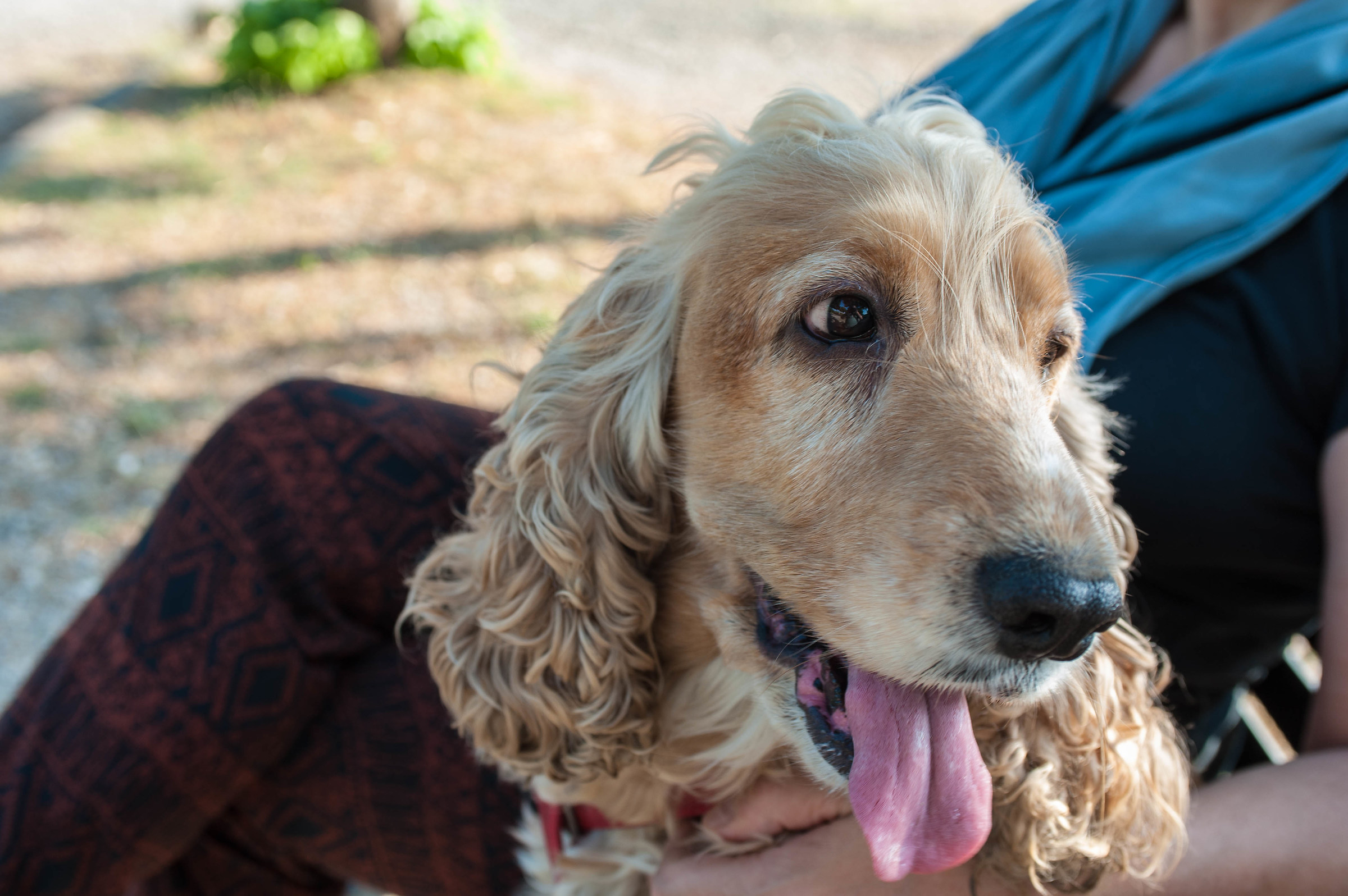 Irina with 35-70 nikkor af 2.8 at pump