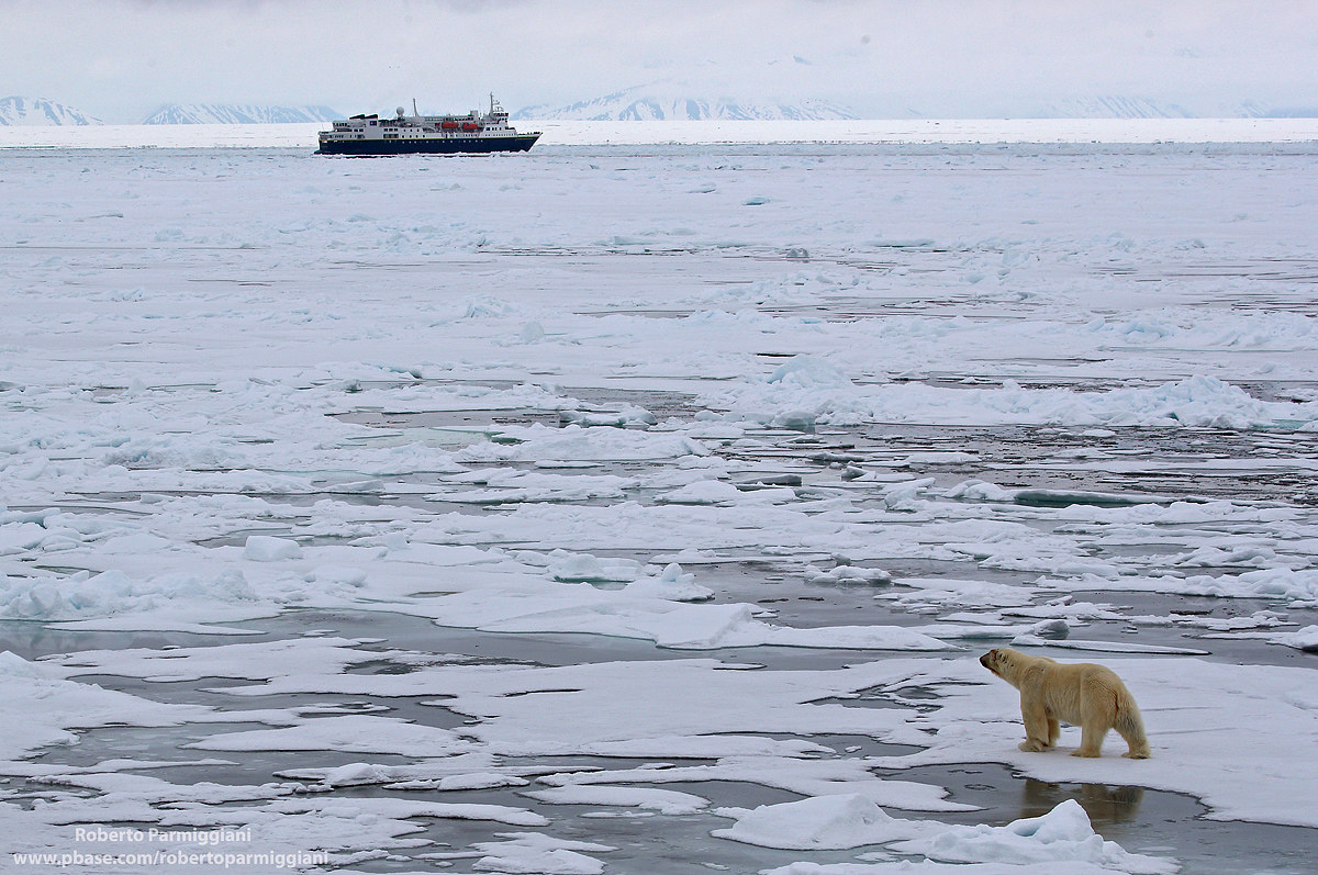 Convivenza nella vastità artiche