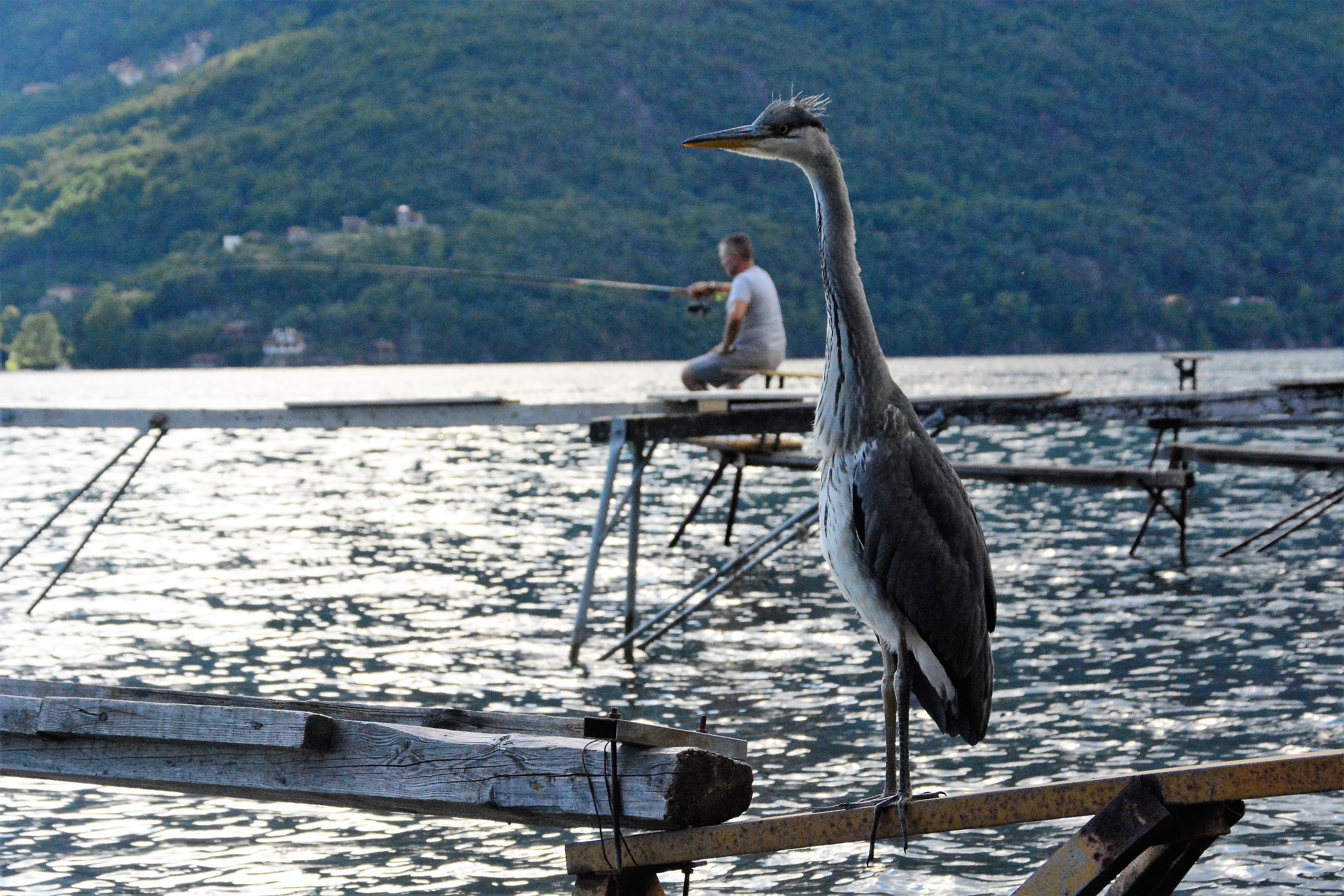 We pretend that you eat