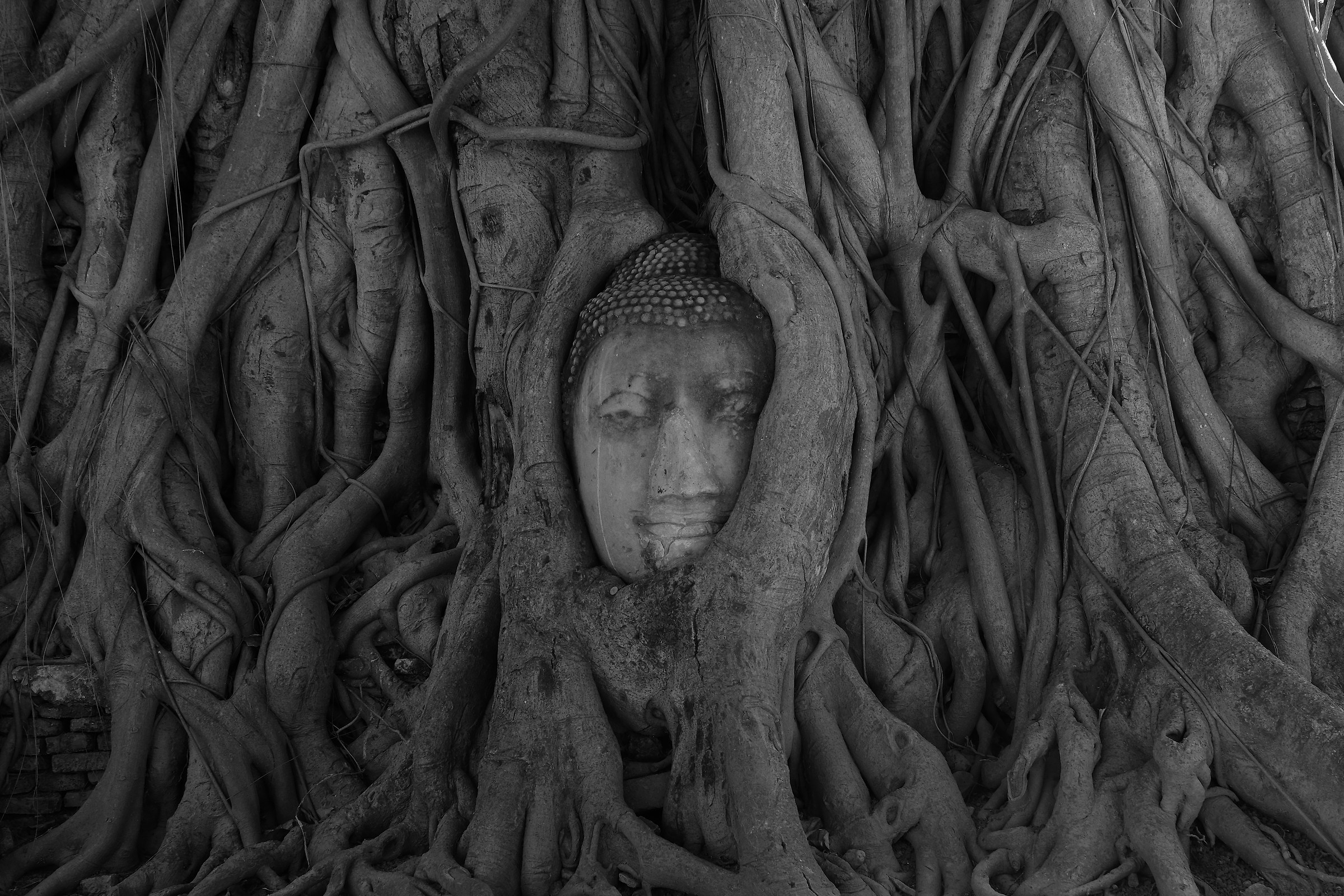 The roots of Buddhism
