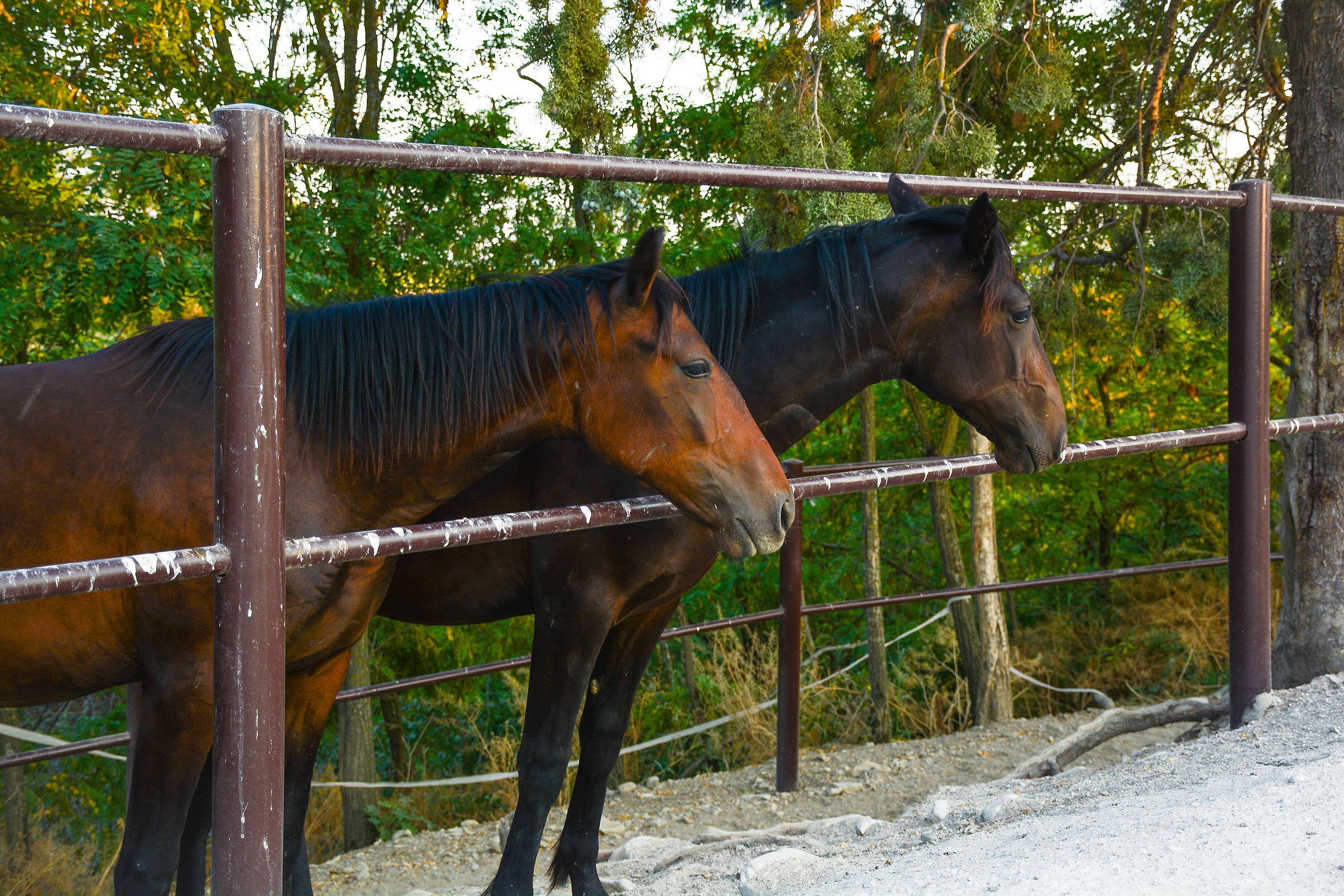 Country House Assisi