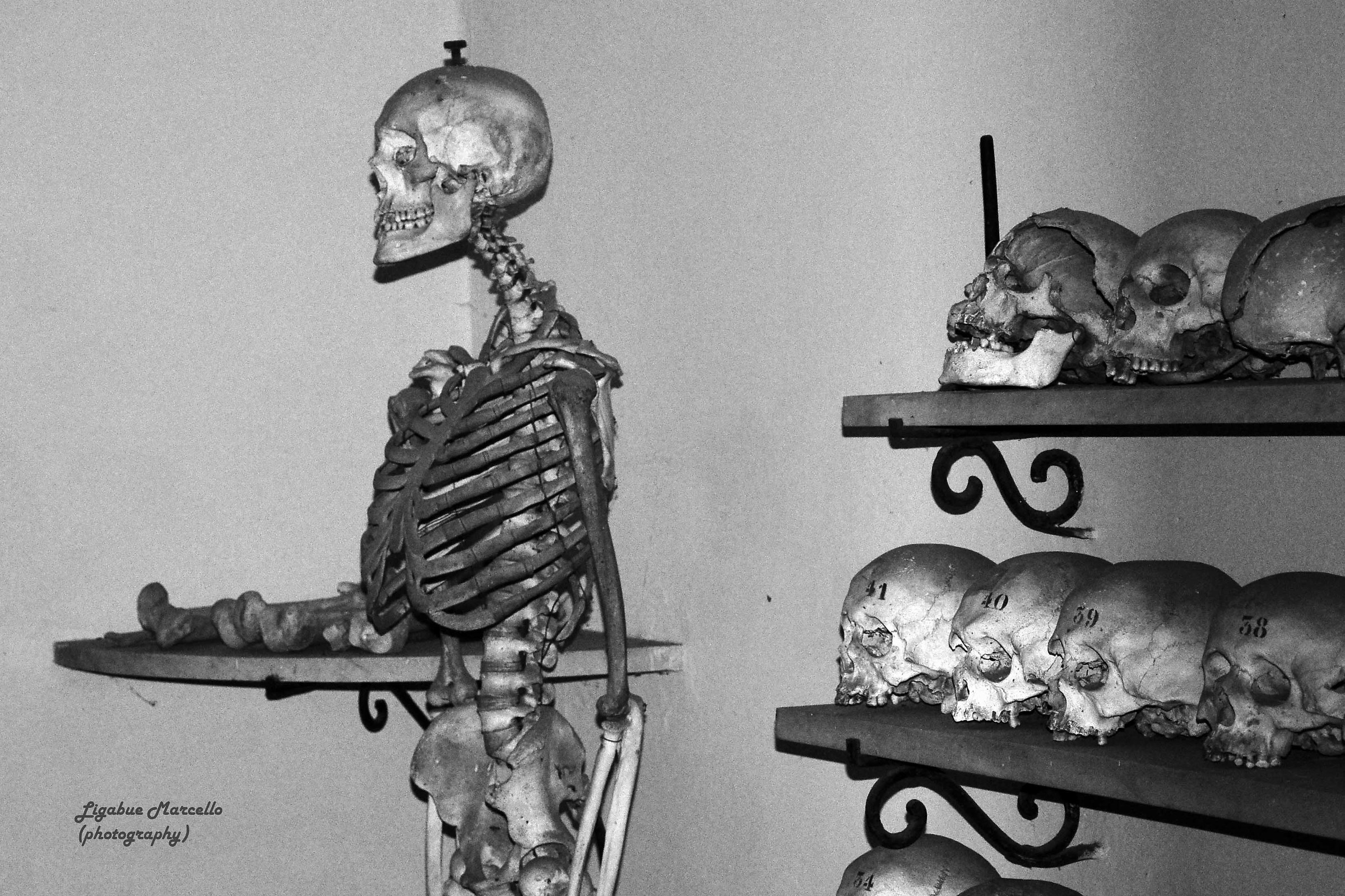 The results of any war