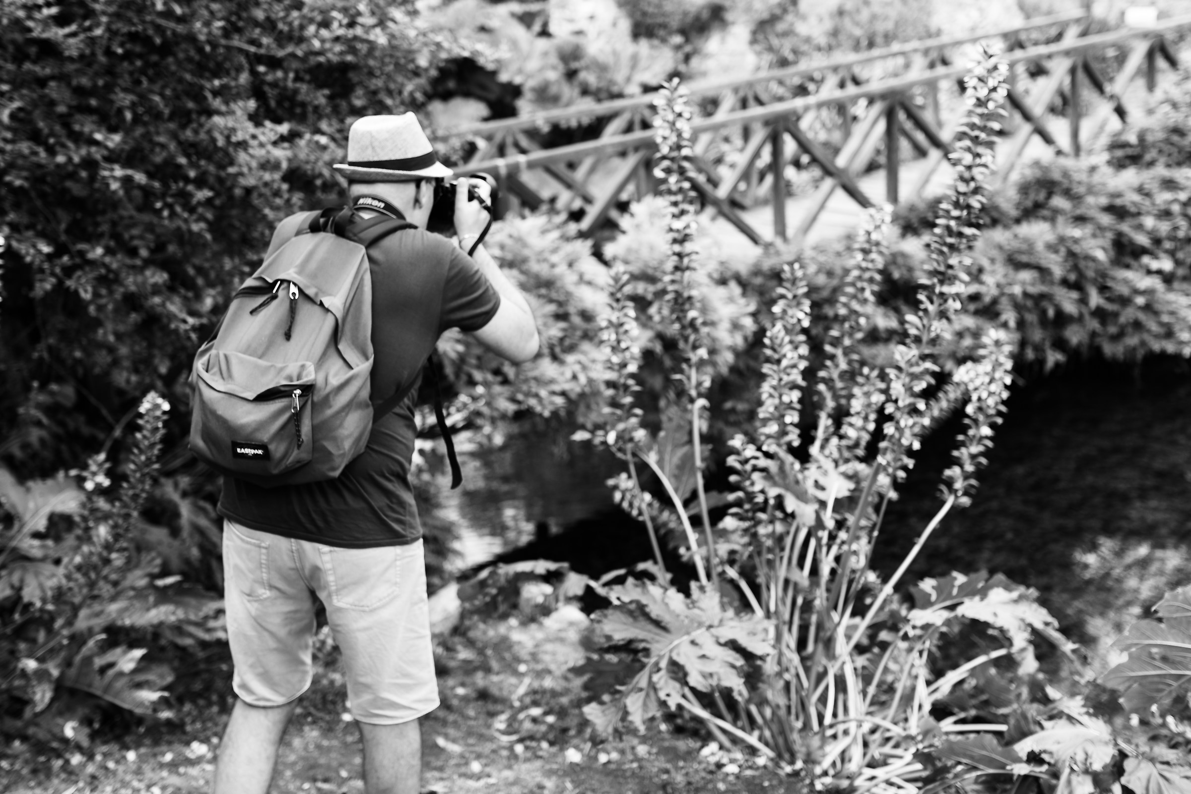 Photographing photographs