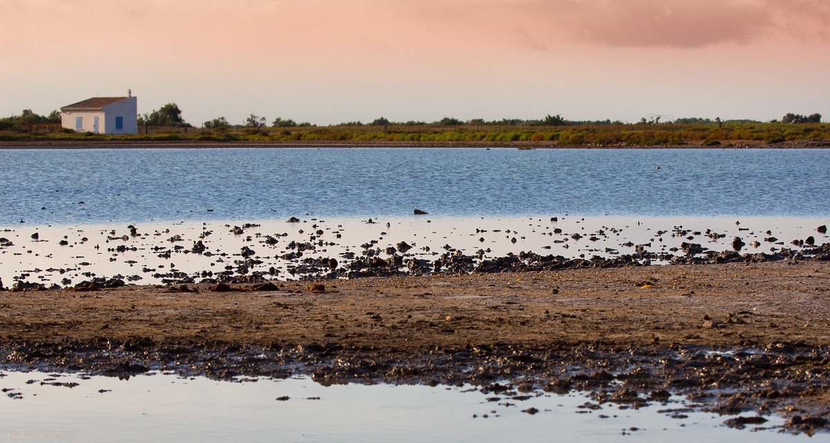 house in the Camargue