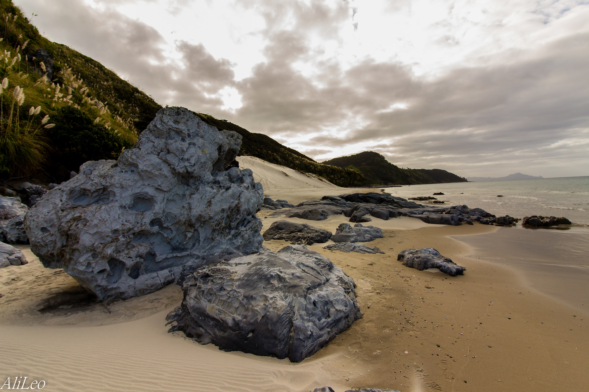 Mangawhai, North Beach in Auckland