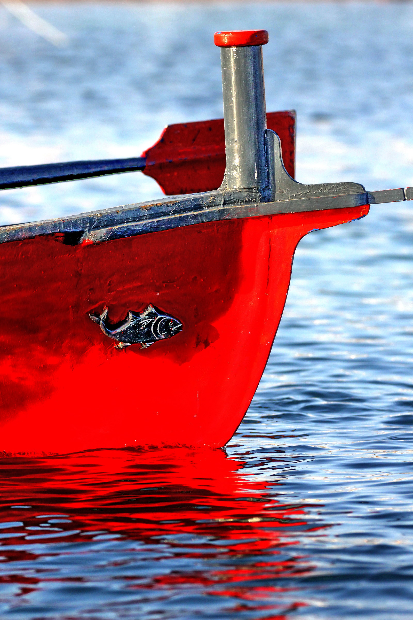 Boat racing - Marzamemi (sr)