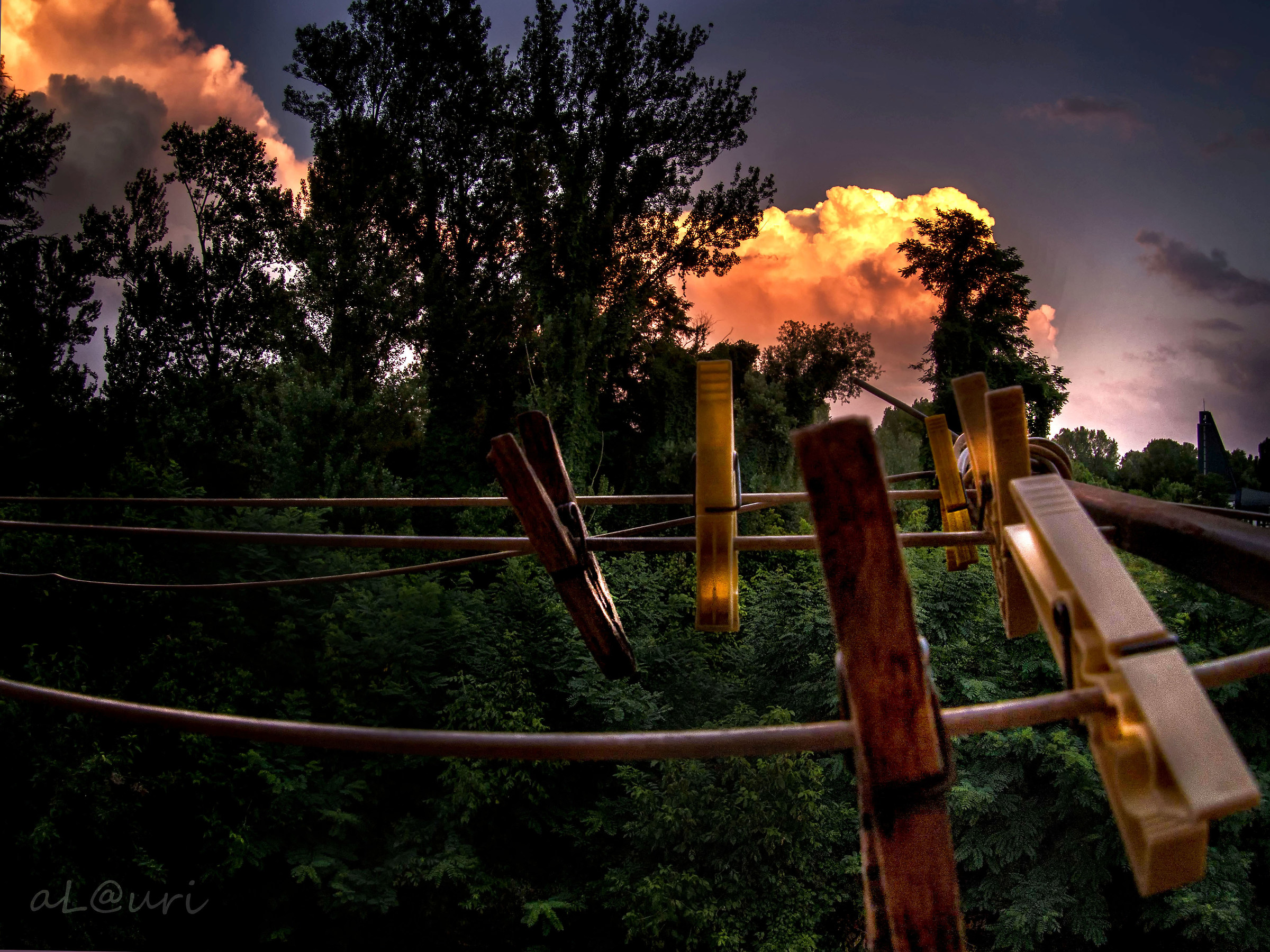 Mollette nel Tramonto