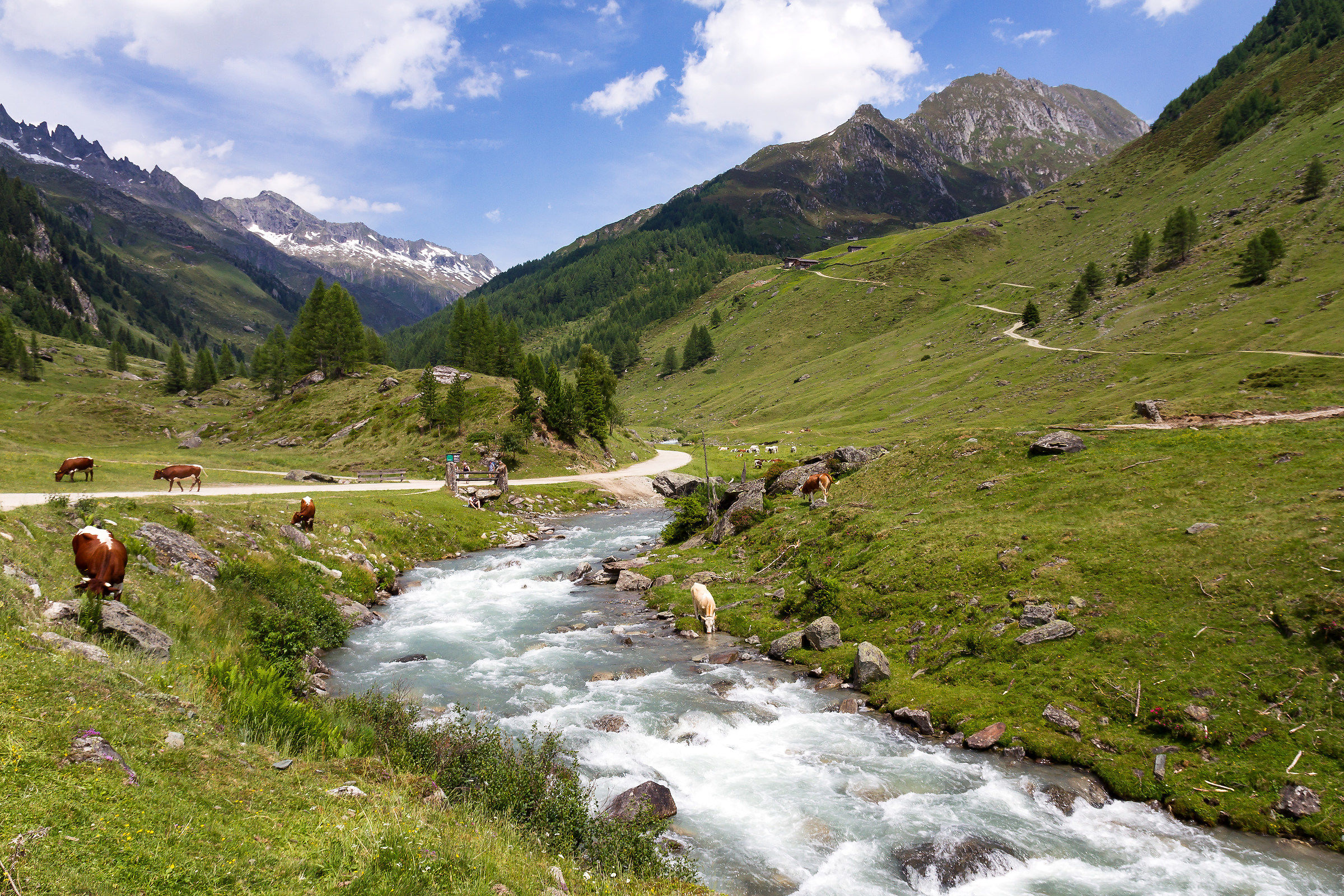 Towards the summit of Italy