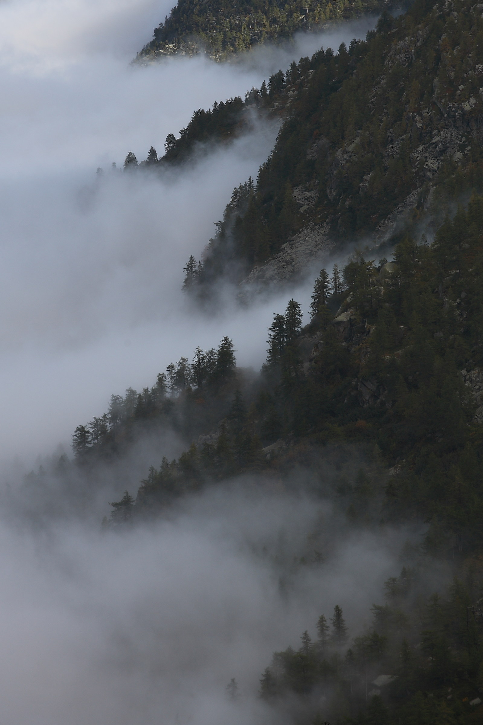 nebbia, gran Paradiso, Ceresole Reale