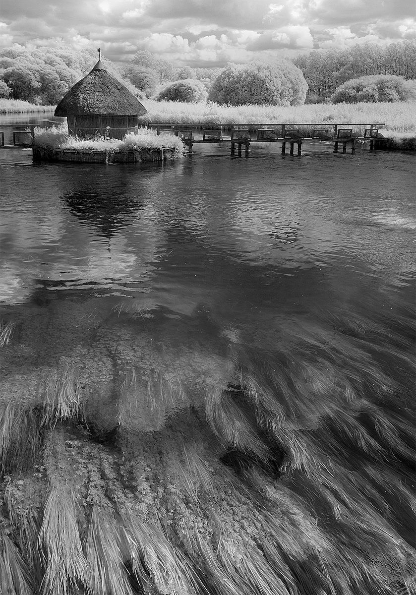 The River Test in Infrared