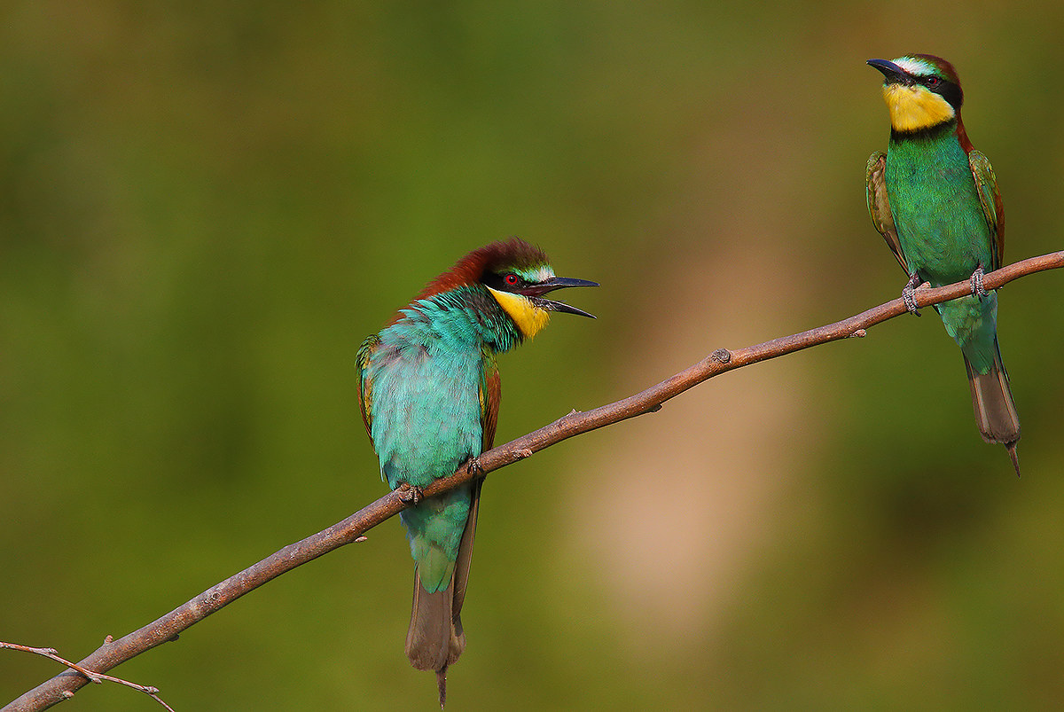 You make my head turn ....