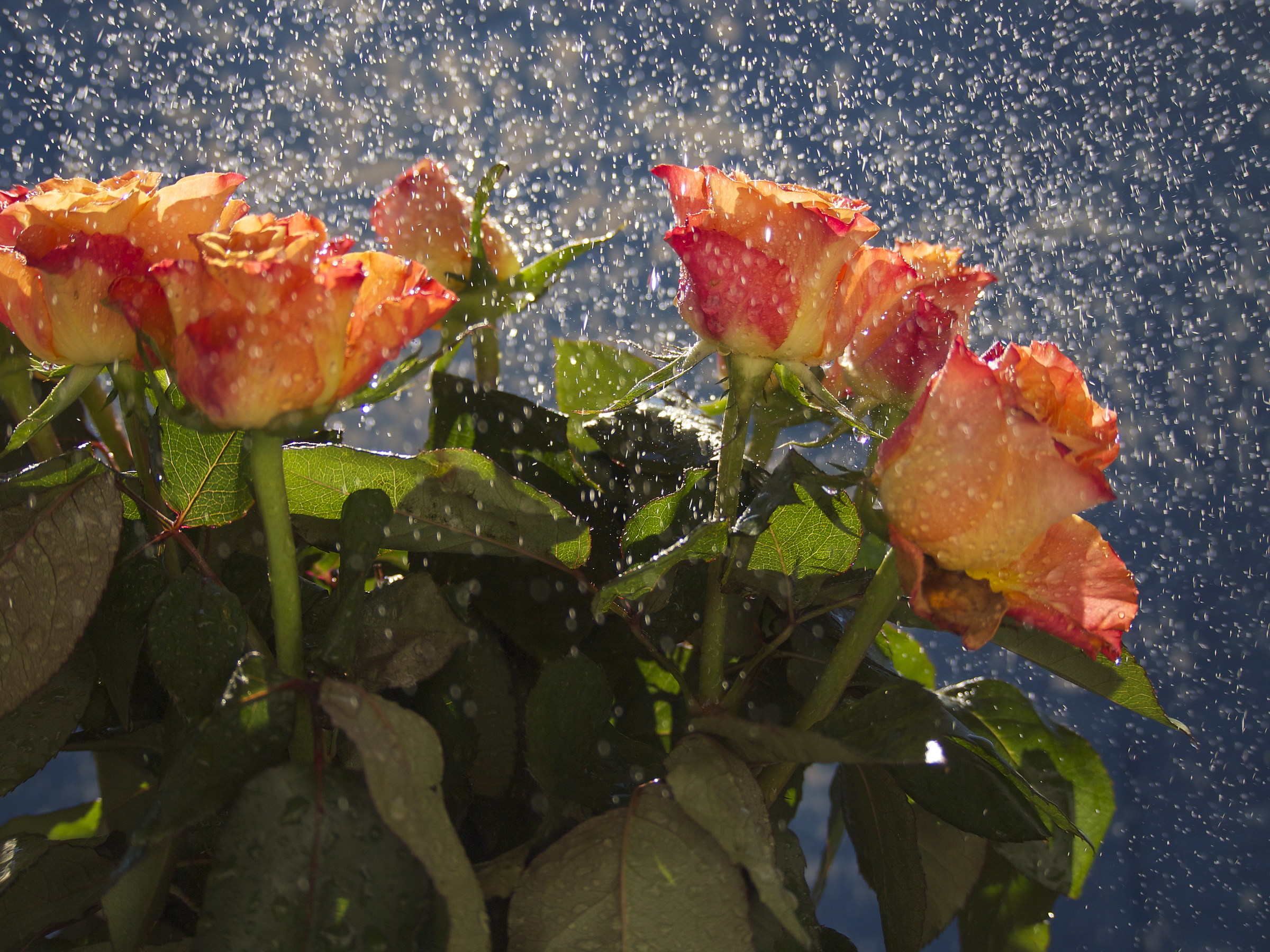 Piove, guarda come piove...