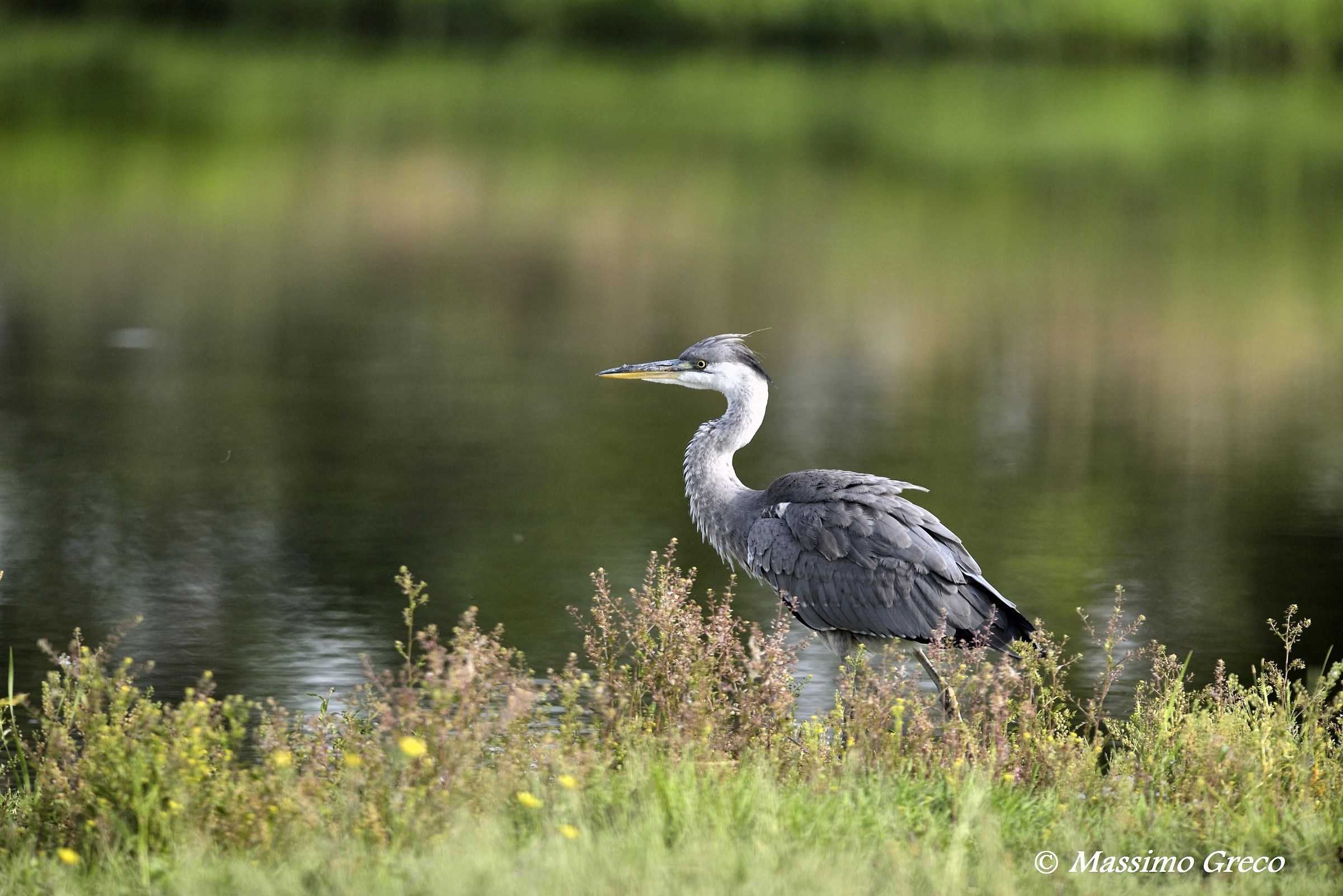 La magia del lago a prima mattina