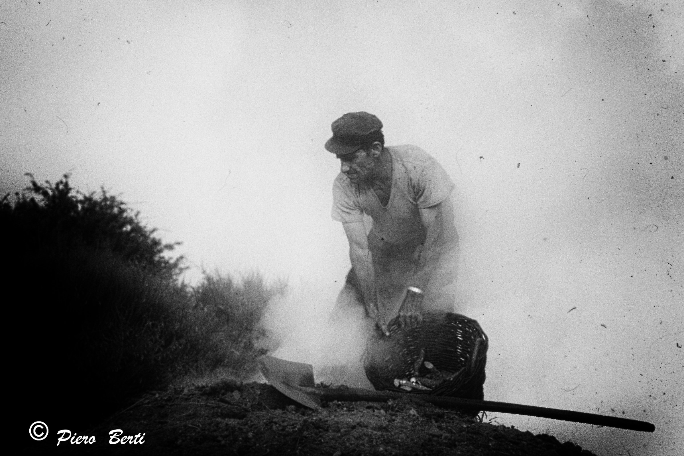 CARBONIA, Alago del Faggeto, Arezzo (60s)