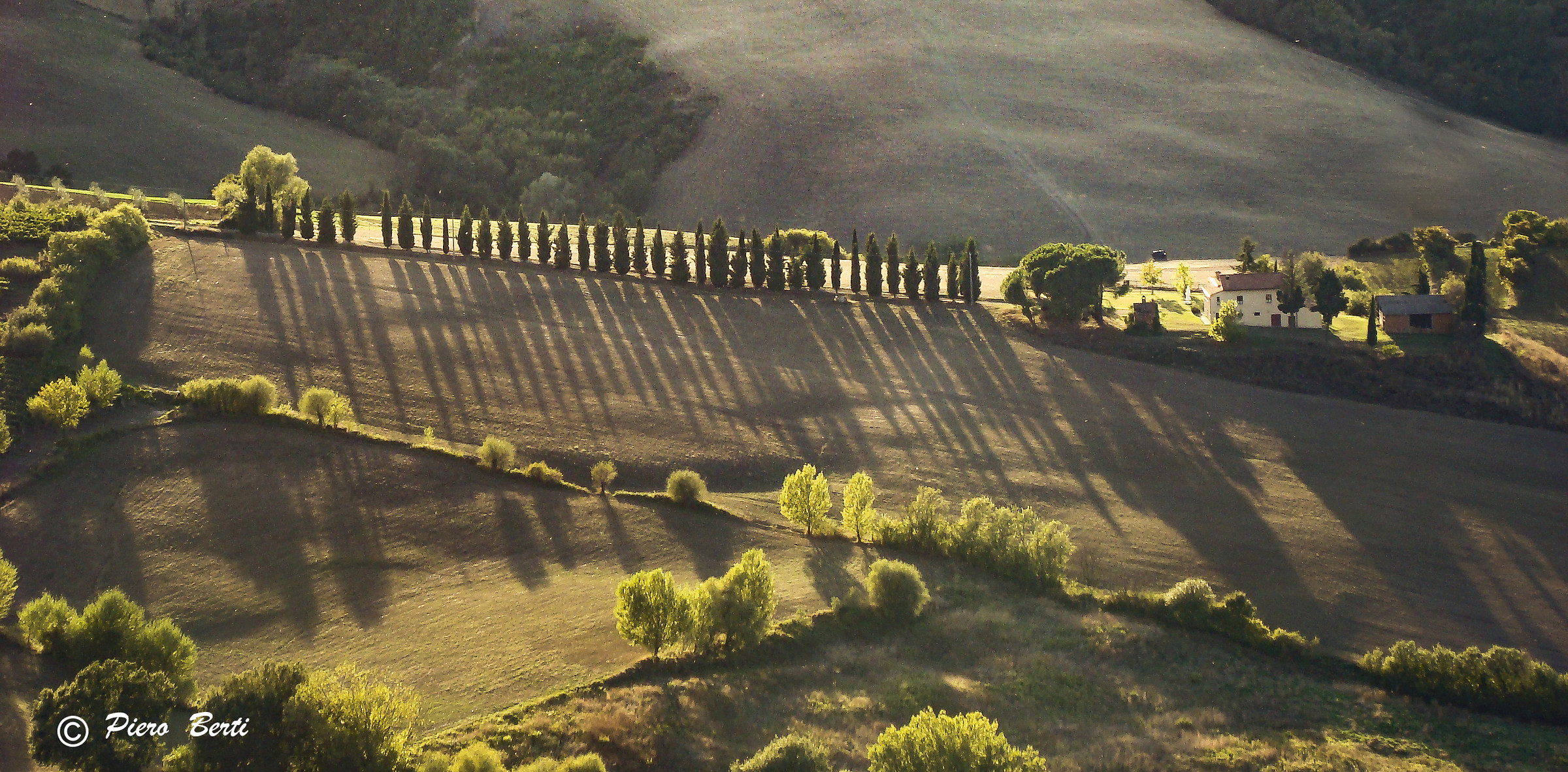 Montepulciano, Campagna in the morning