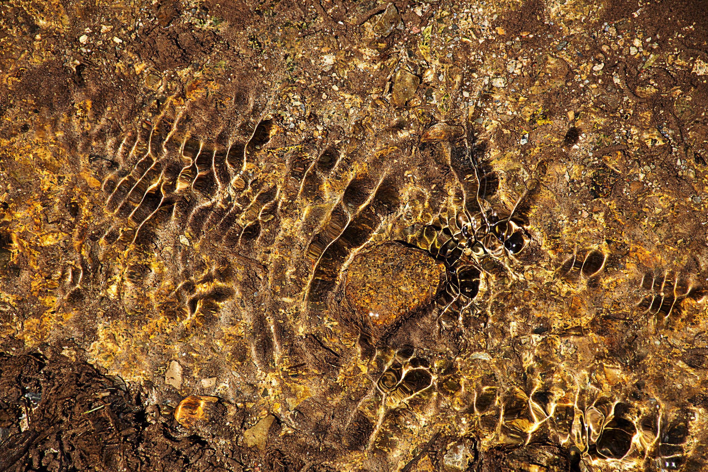 Interferences in water 1