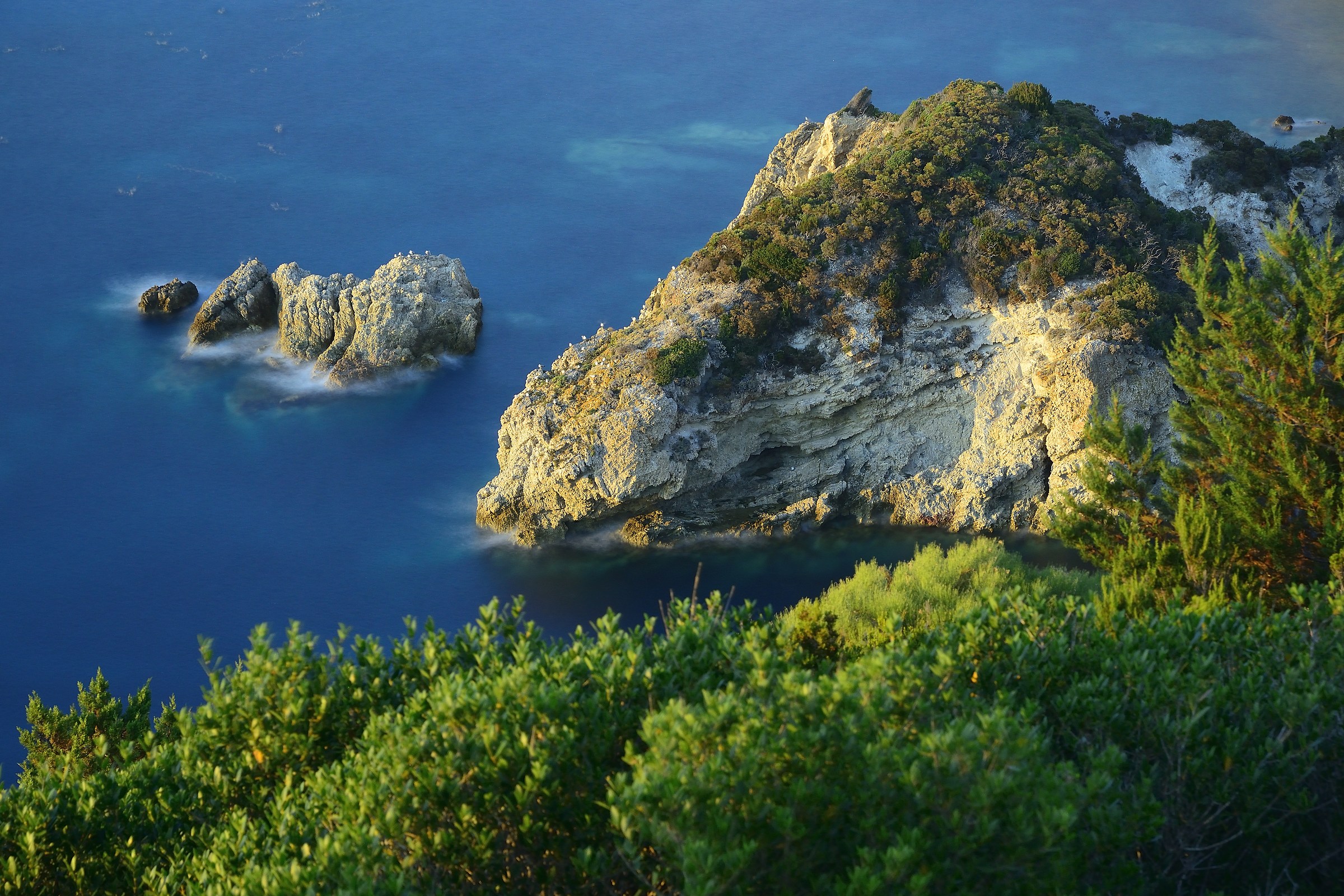 Ponza-Le Forna