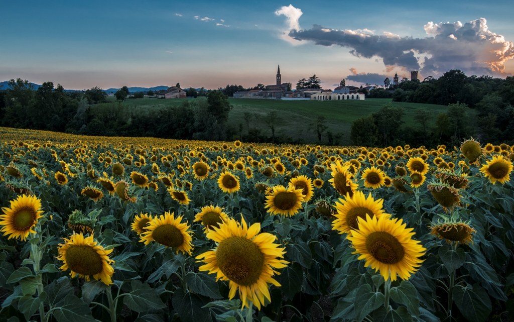 Castelnuovo Fogliani