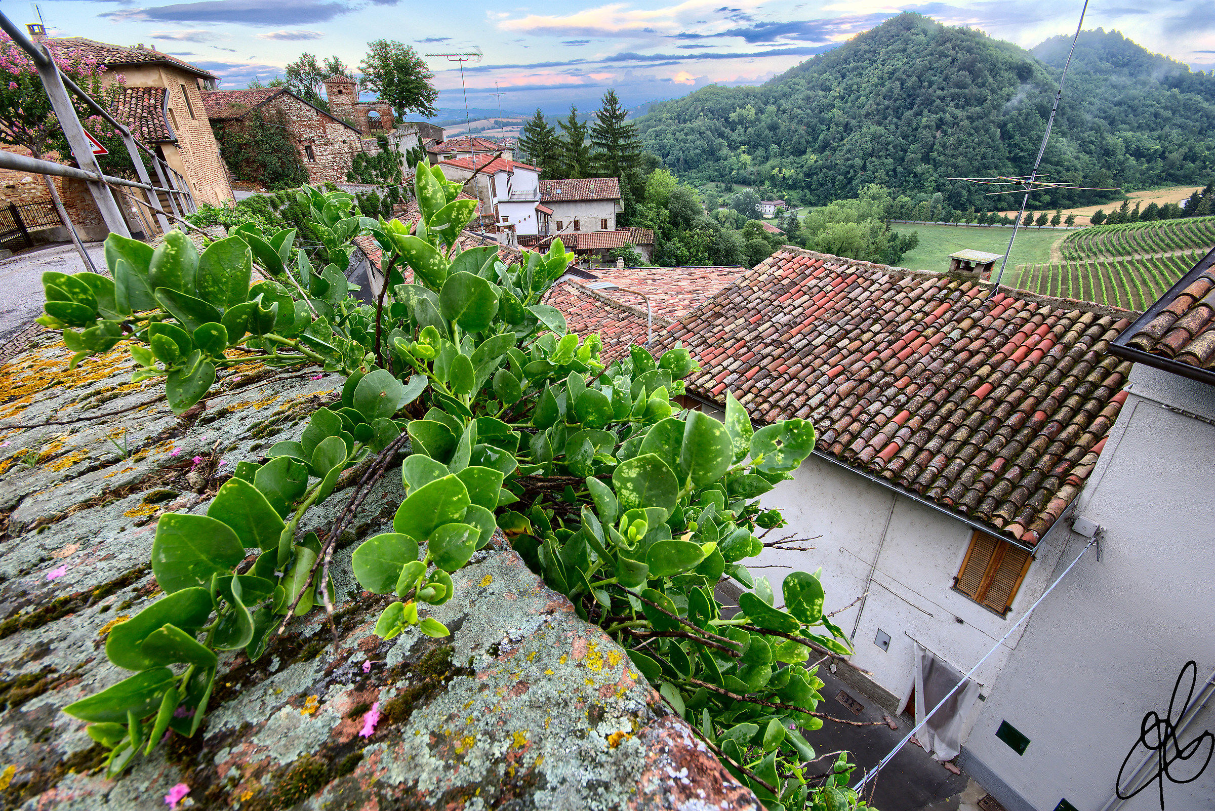 Are all your capers !!!