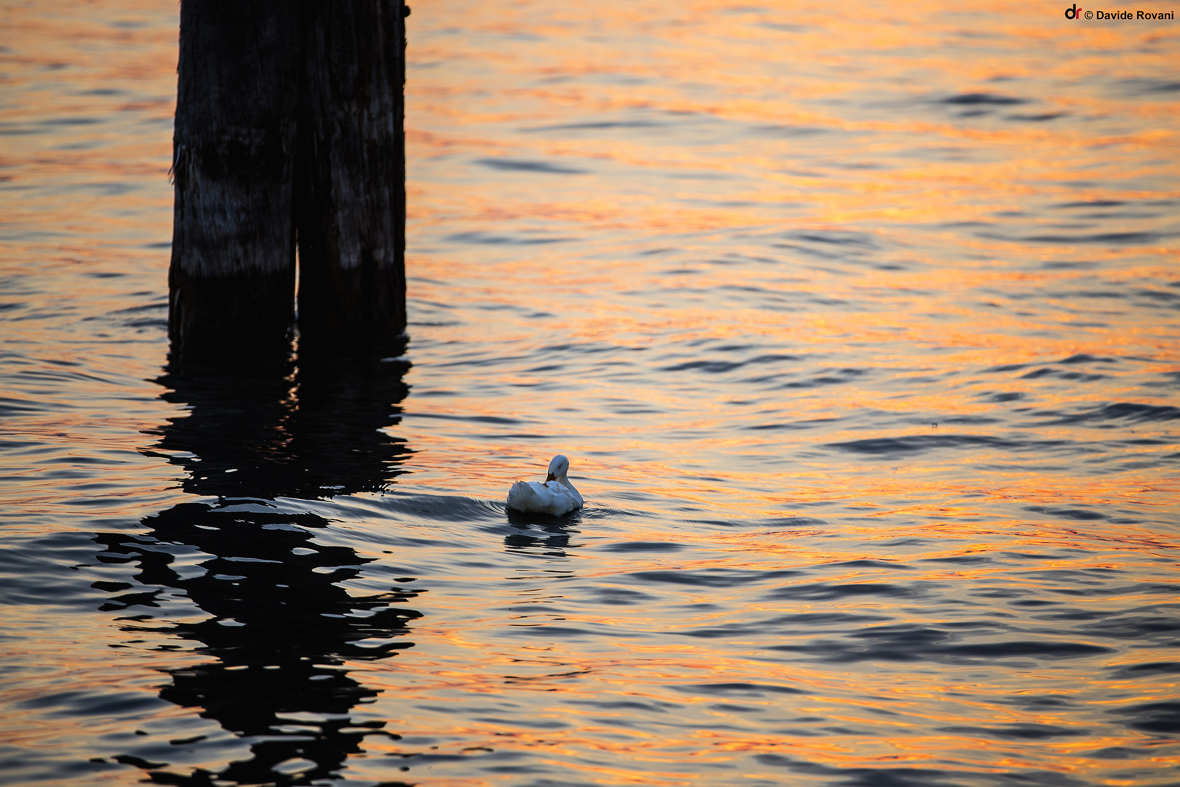 A moment of relaxation!