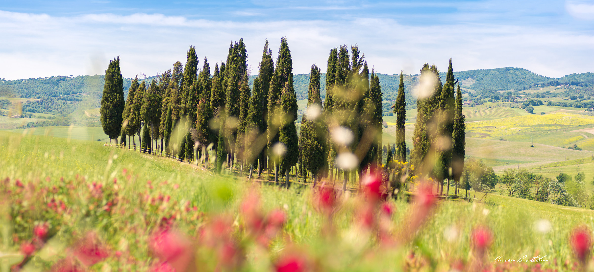 The Cypris of San Quirico in red