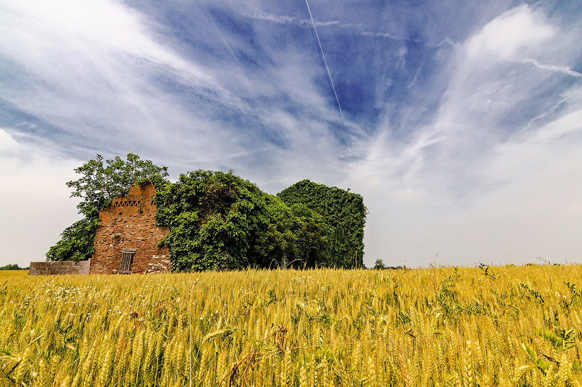 abbandonata a se stessa