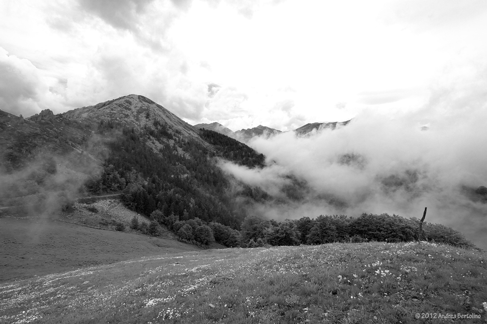 the fog which advances