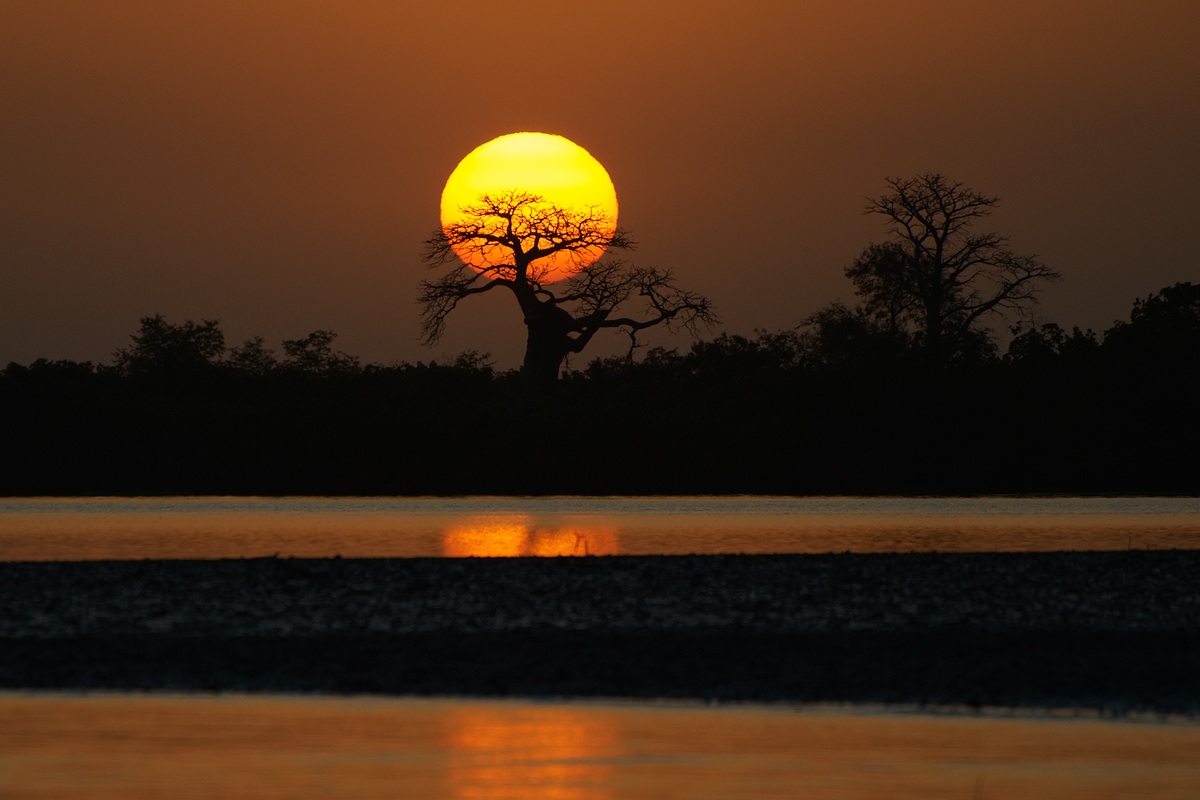 Tramonto sul Sine Salum (Senegal)