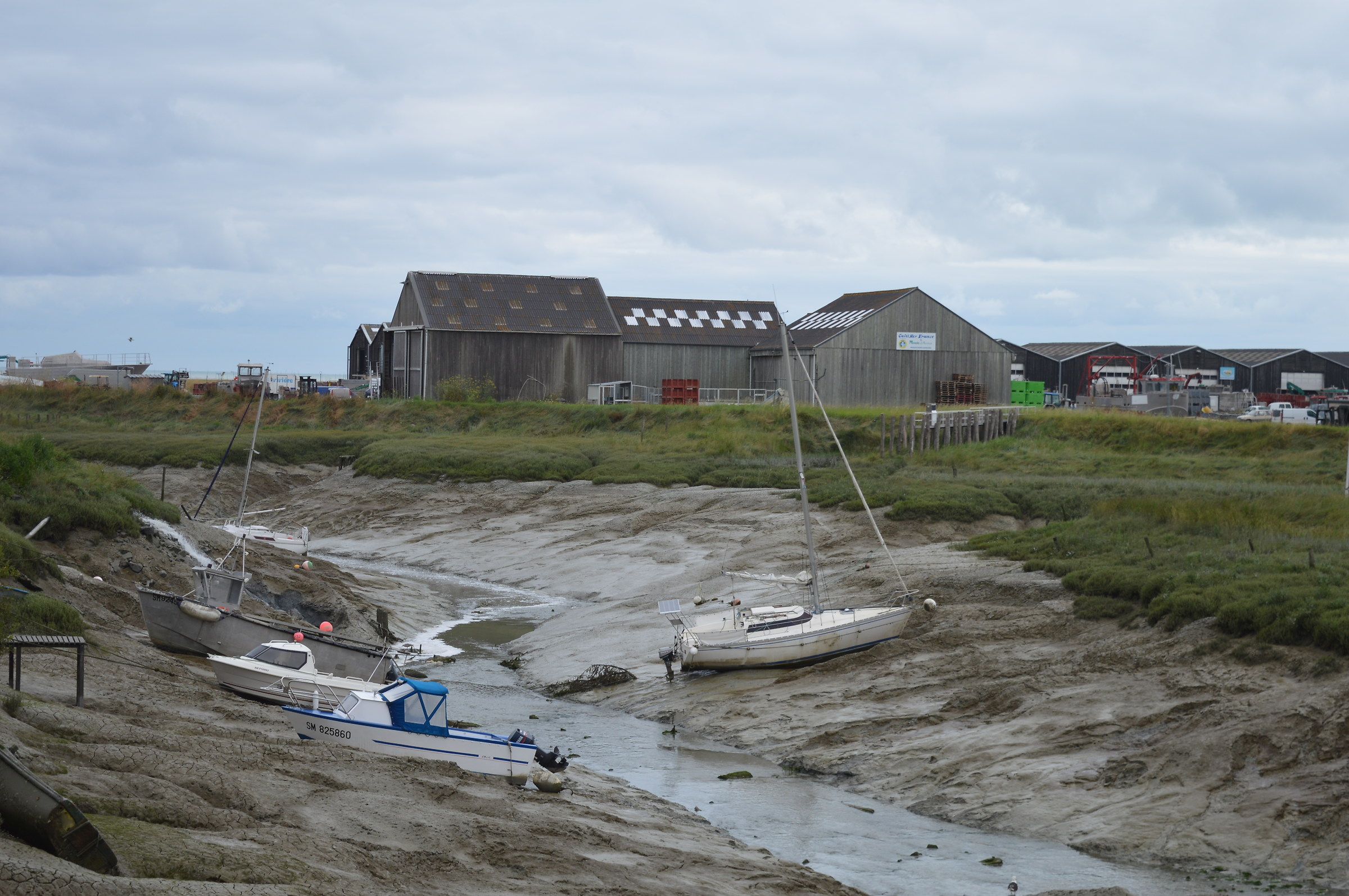 Bassa marea in Bretagna