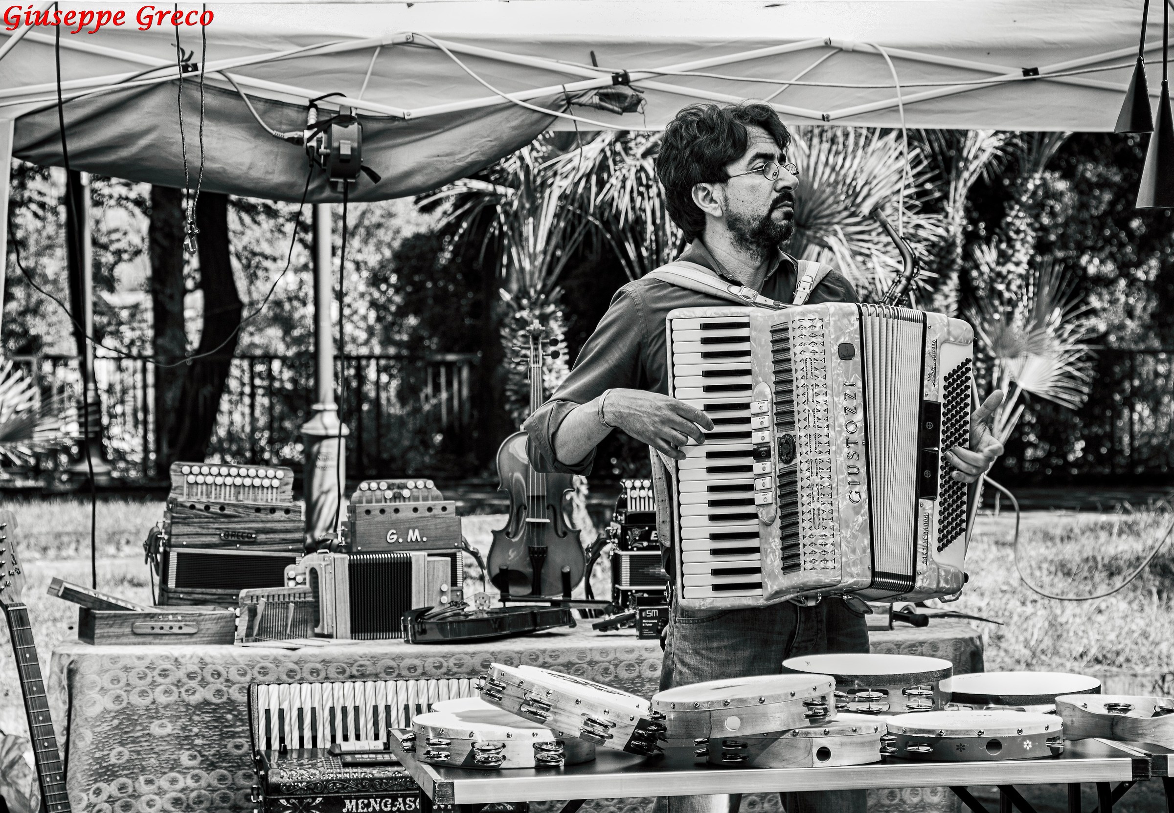 Il suonatore di fisarmonica