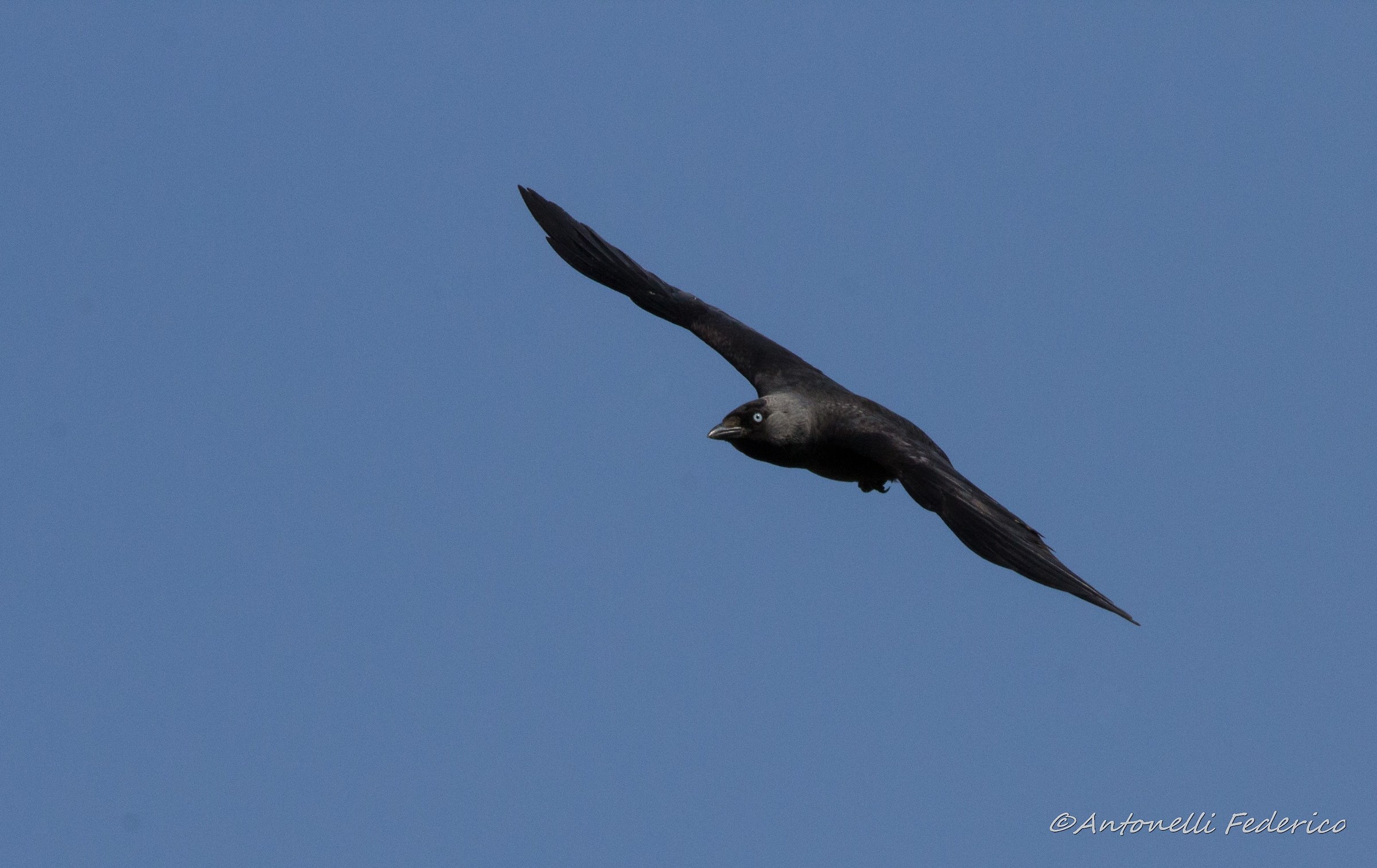 Black arrows in the sky of Pitigliano