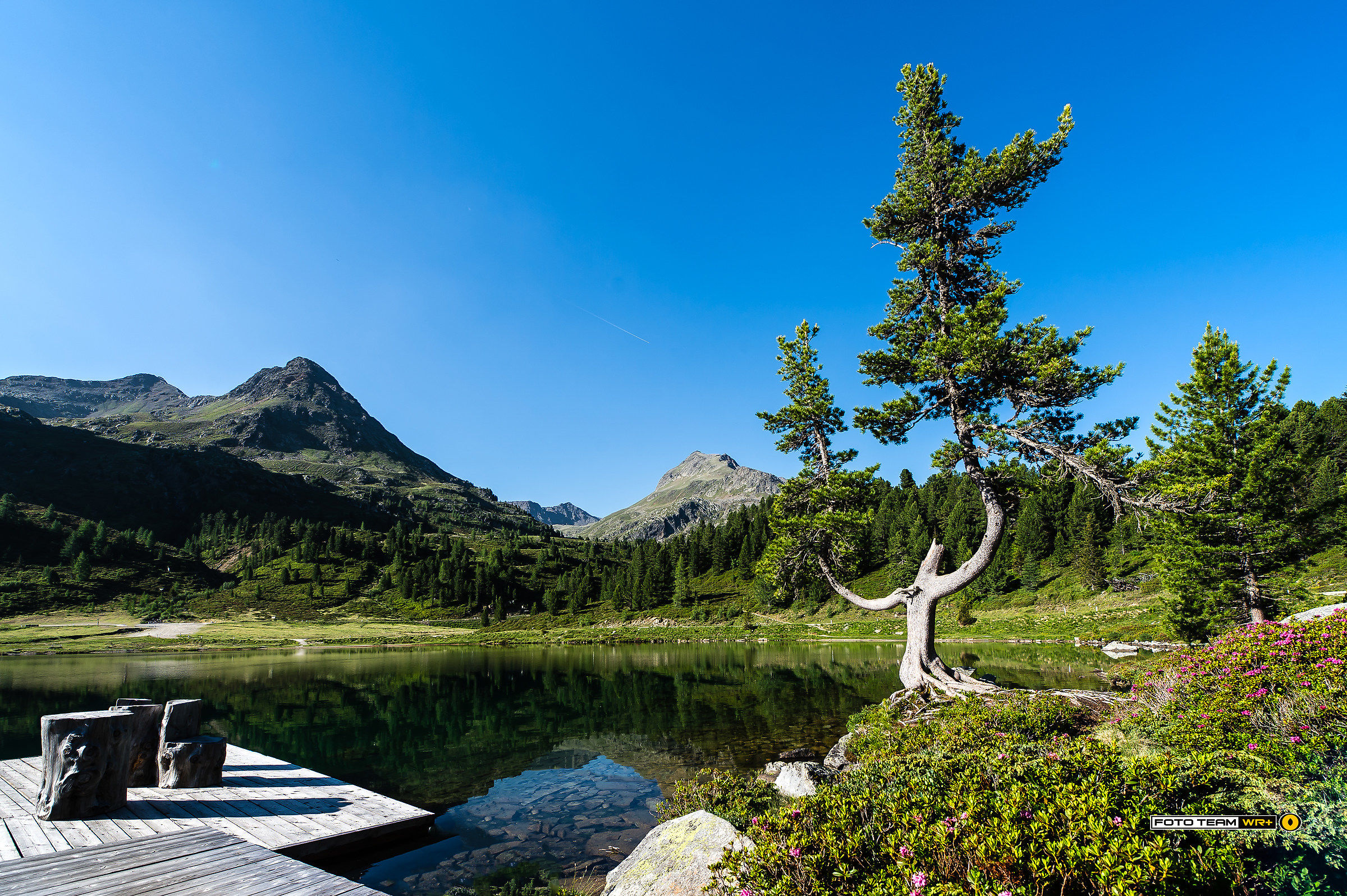 ... il guardiano del laghetto