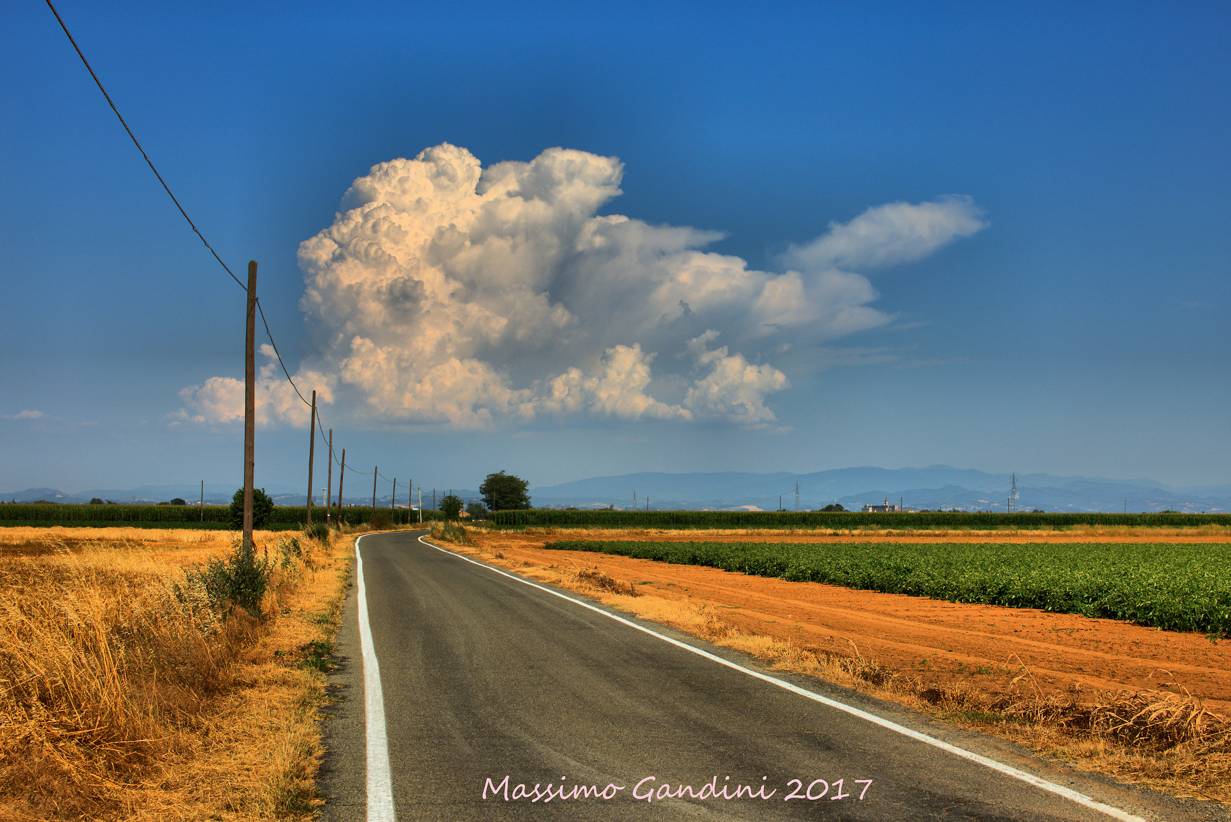 la strada che mi porta a casa