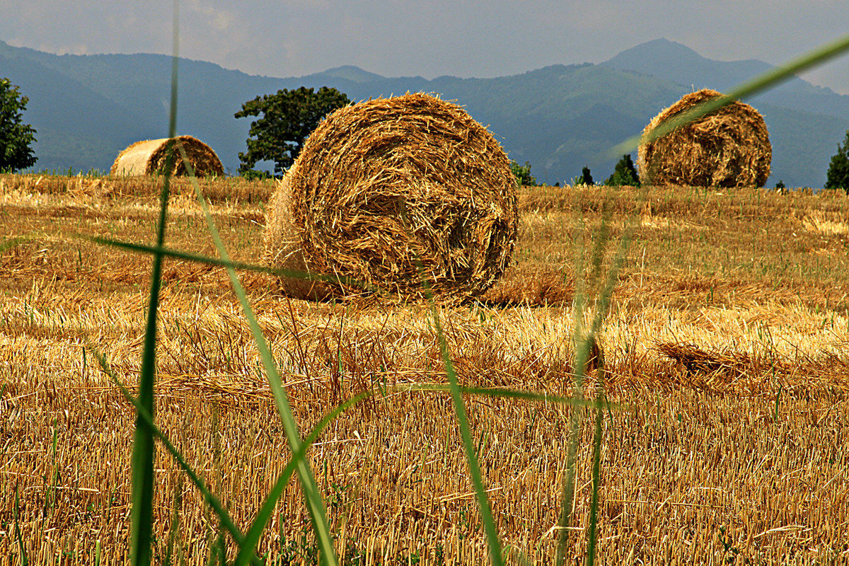 Straw bales (Next version)