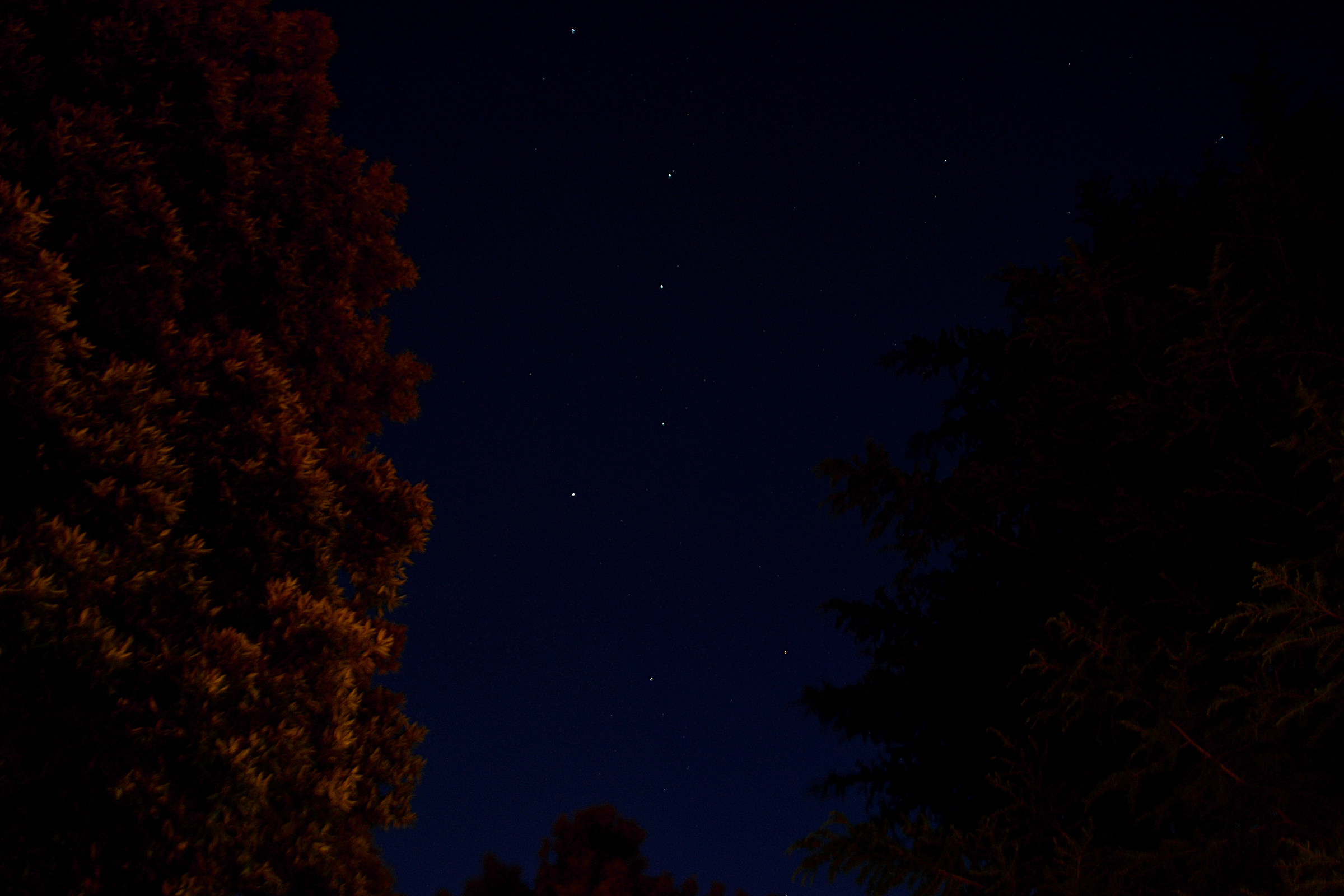 Big Chariot among the trees