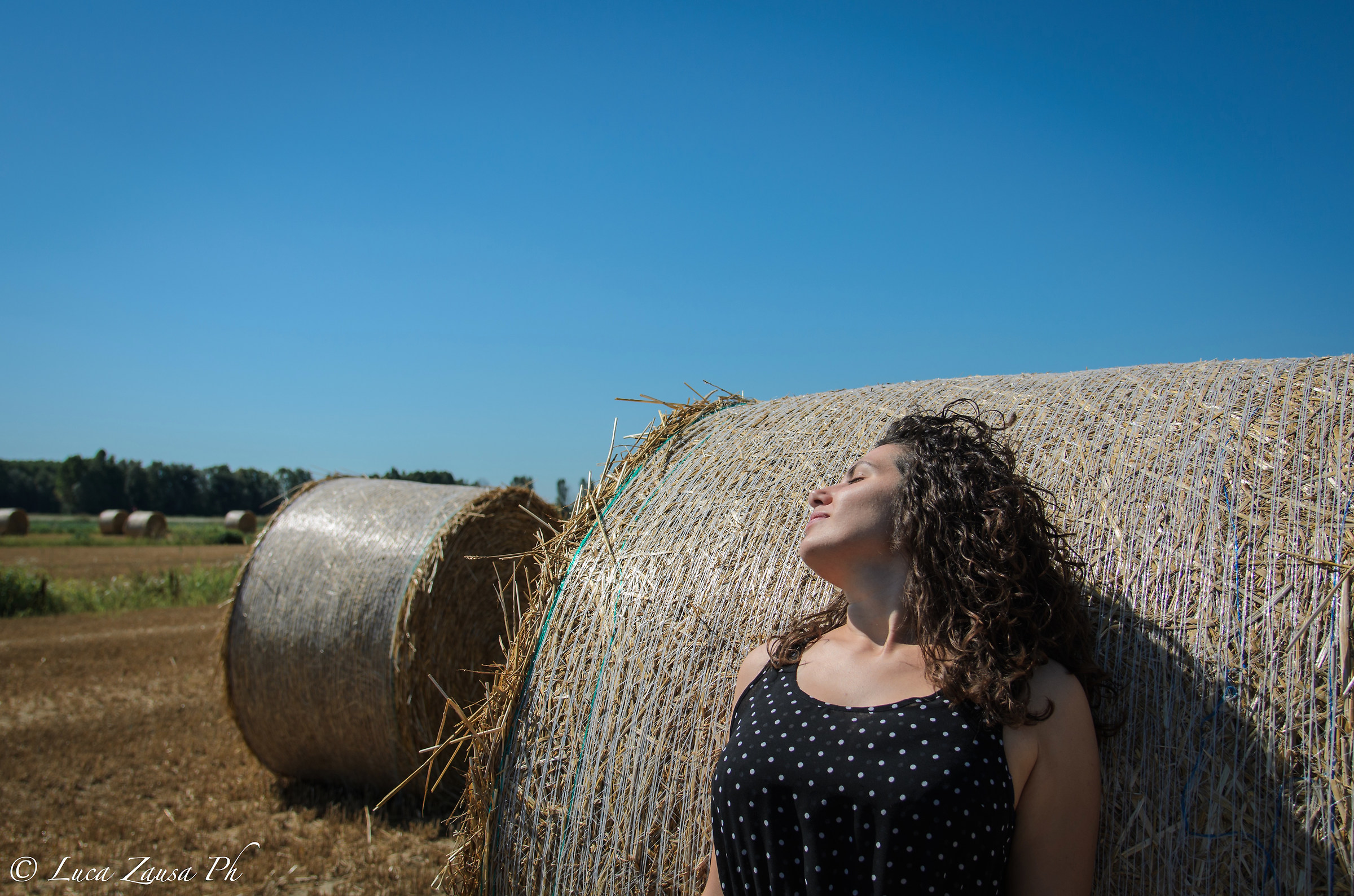 What do you know about a wheat field ...