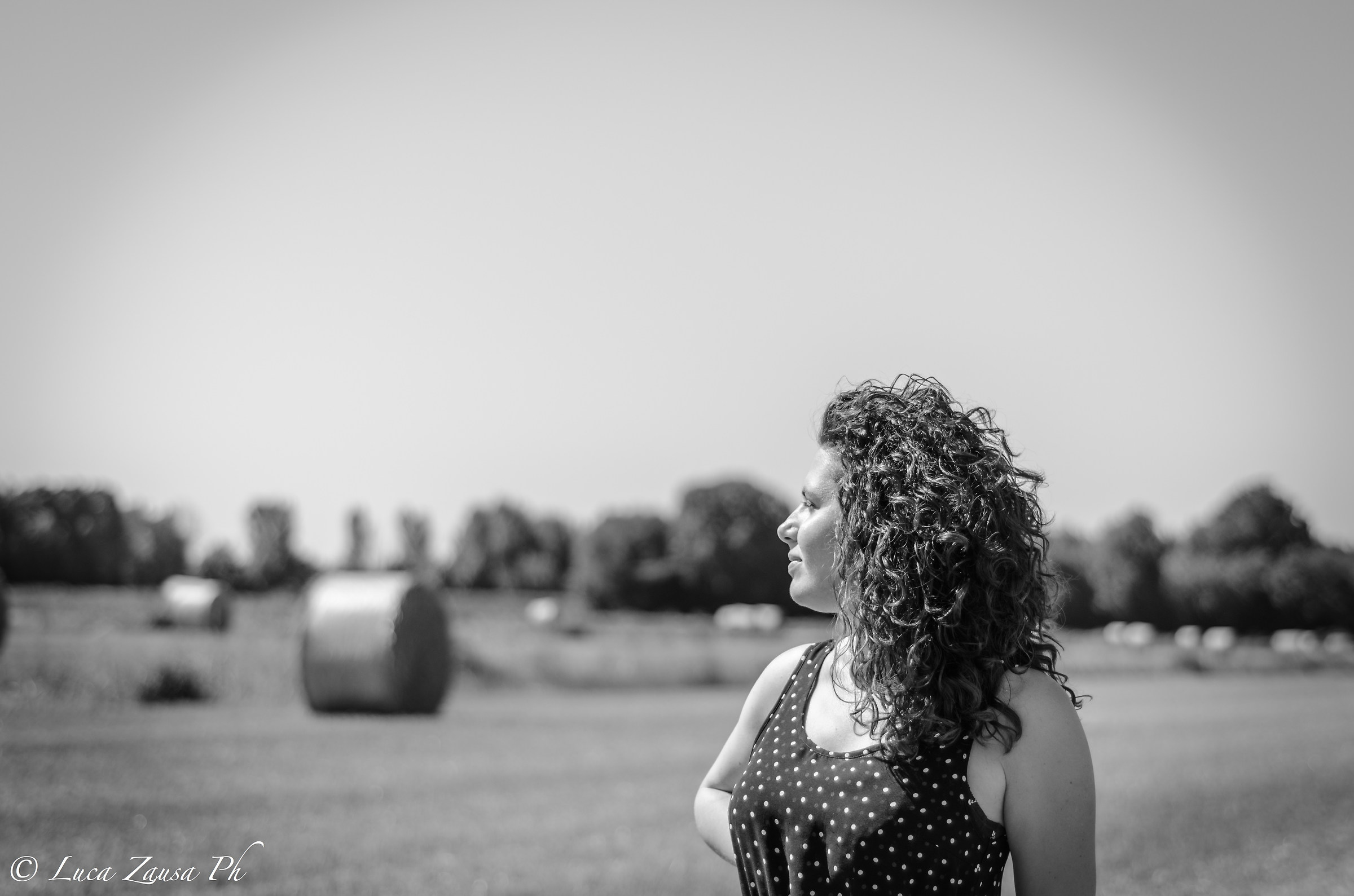 What do you know about a wheat field ...