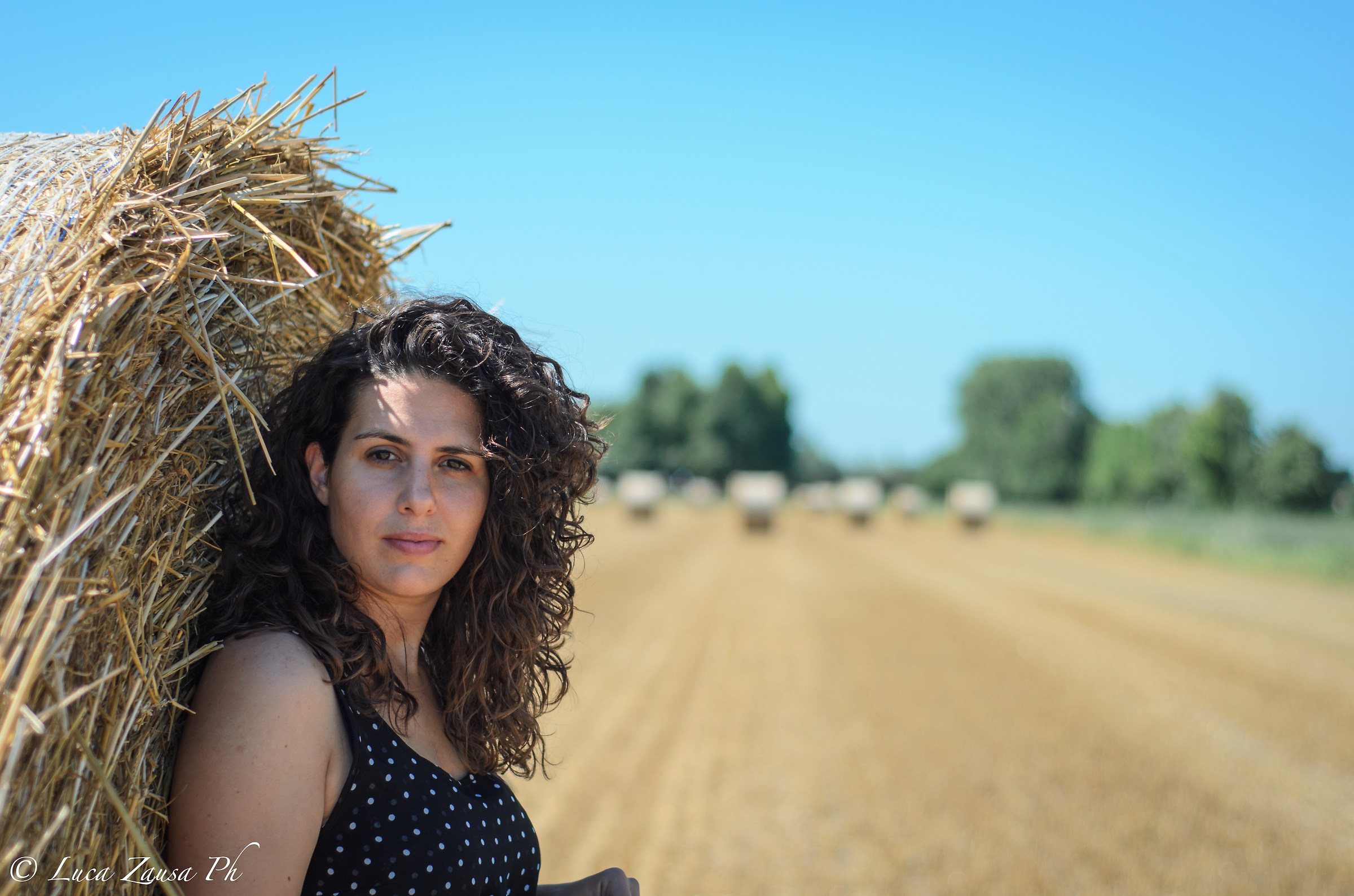 What do you know about a wheat field ...