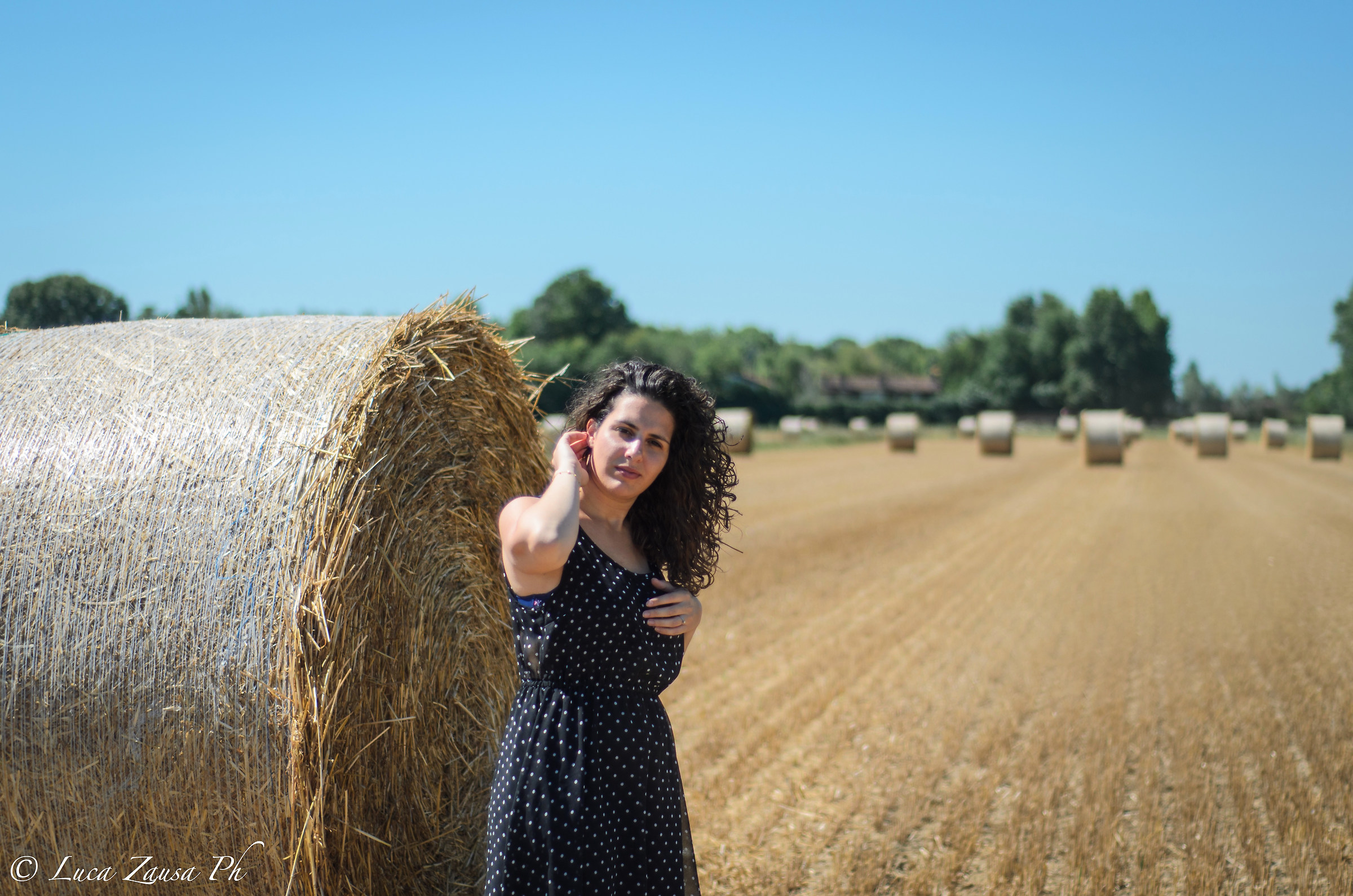 What do you know about a wheat field ...