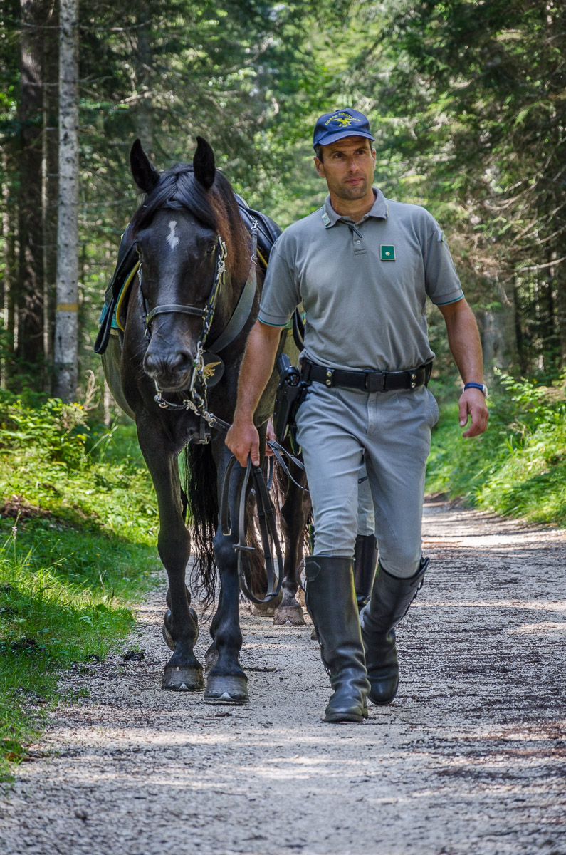 One step from the sky