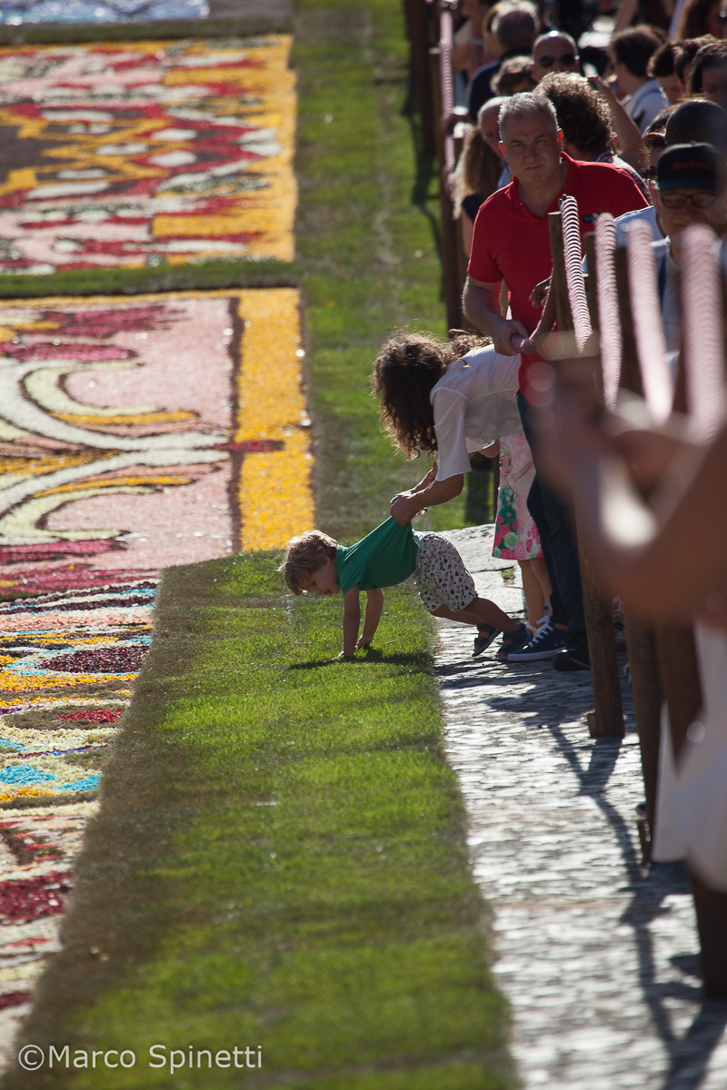 The infiorata does not touch ......