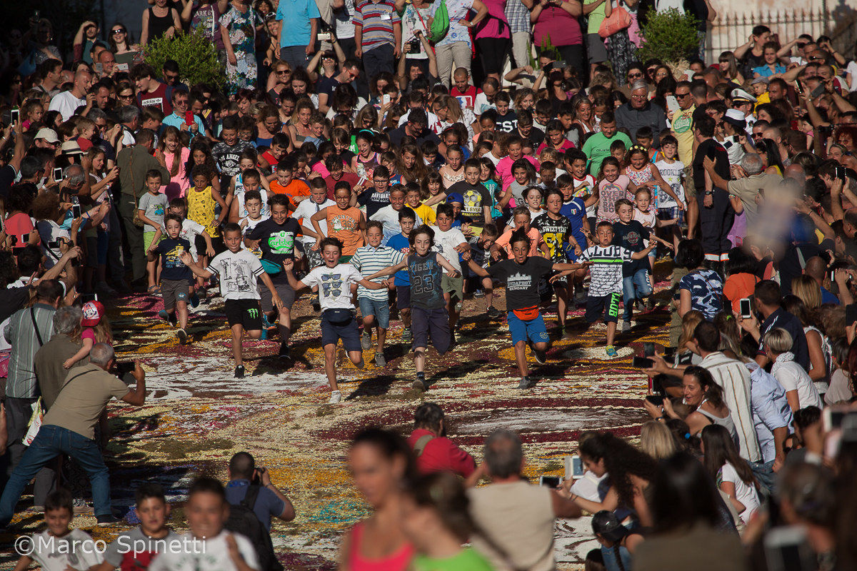 Infiorata 2017 - Shoulder - Genzano di Roma