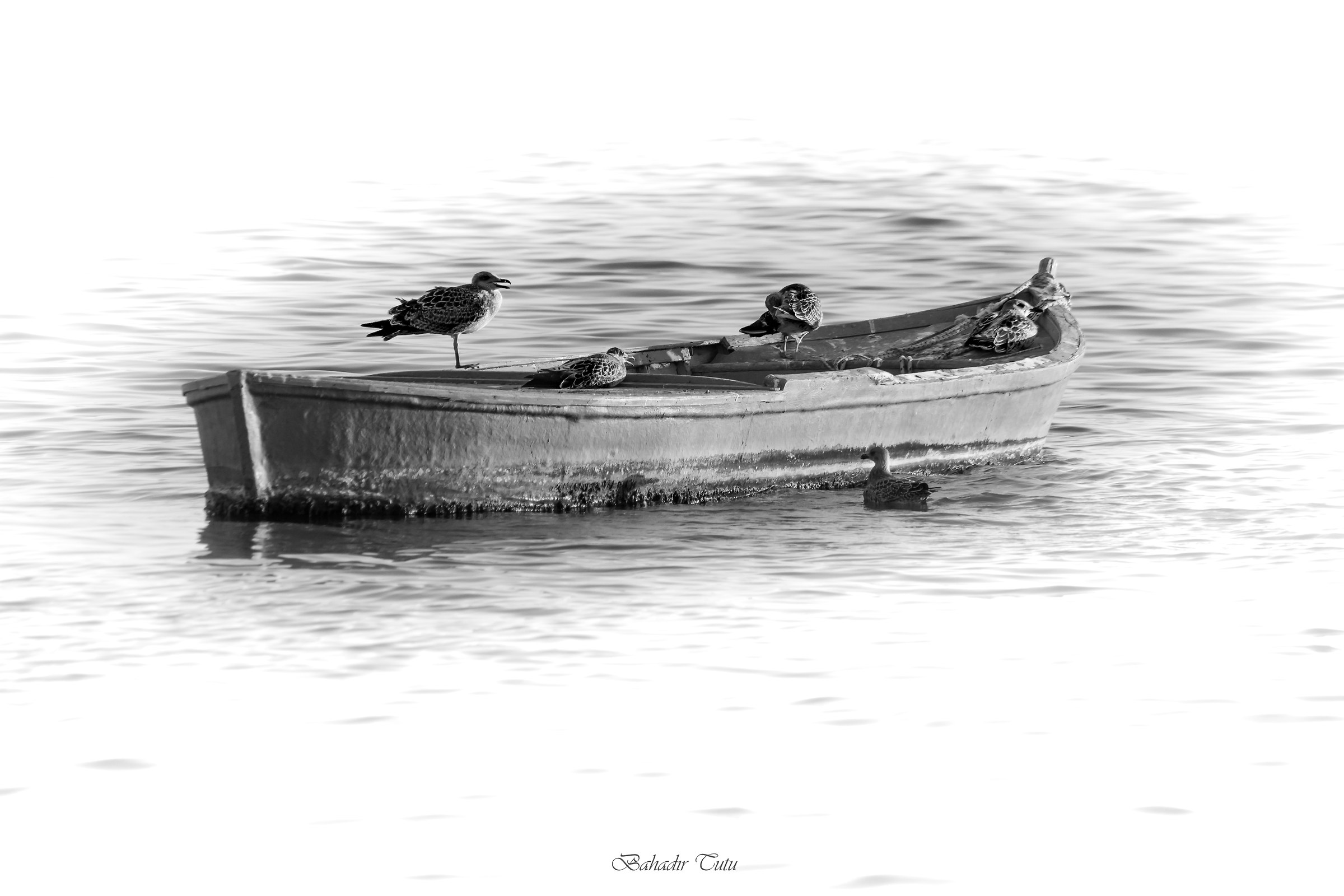 We chose boat to travel