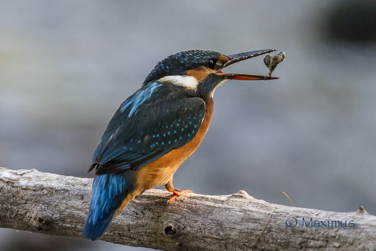 .. un attimo prima della fine..