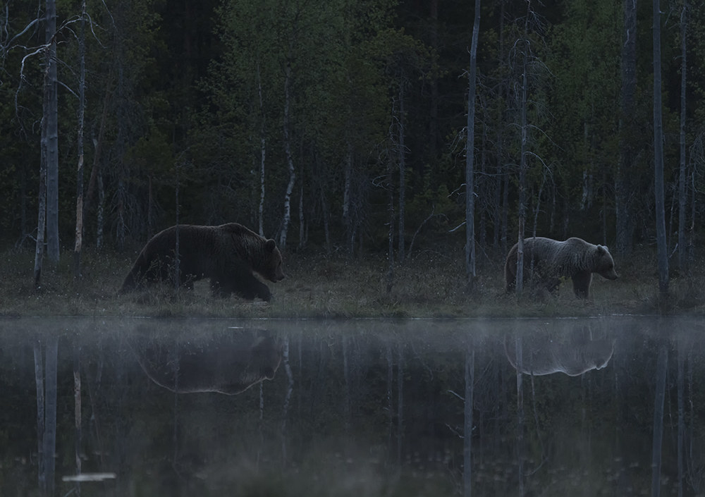 I gotta feeling..  tonight's gonna be a good night