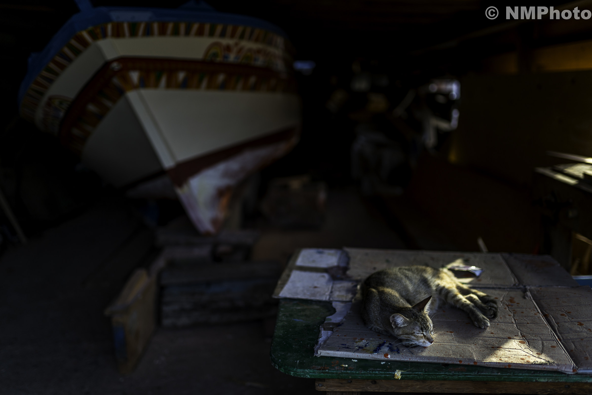 Naval Shipyard Rodolico